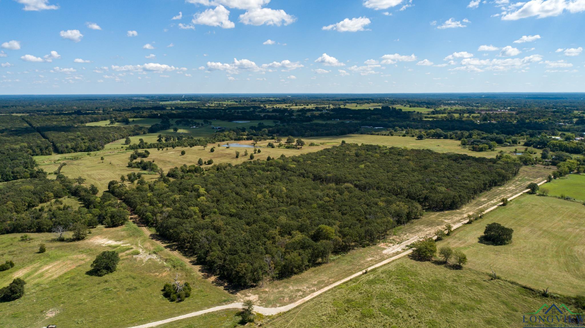 00 Vz County Road 1123, Fruitvale, Texas image 3