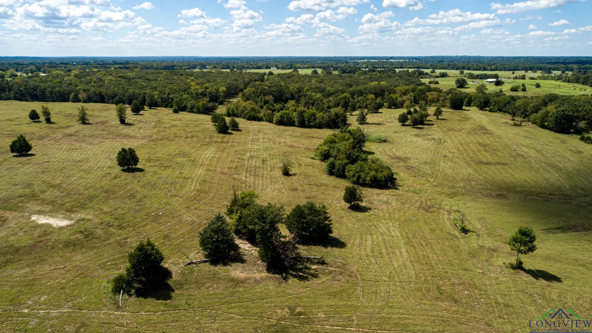 00 Vz County Road 1123, Fruitvale, Texas image 16