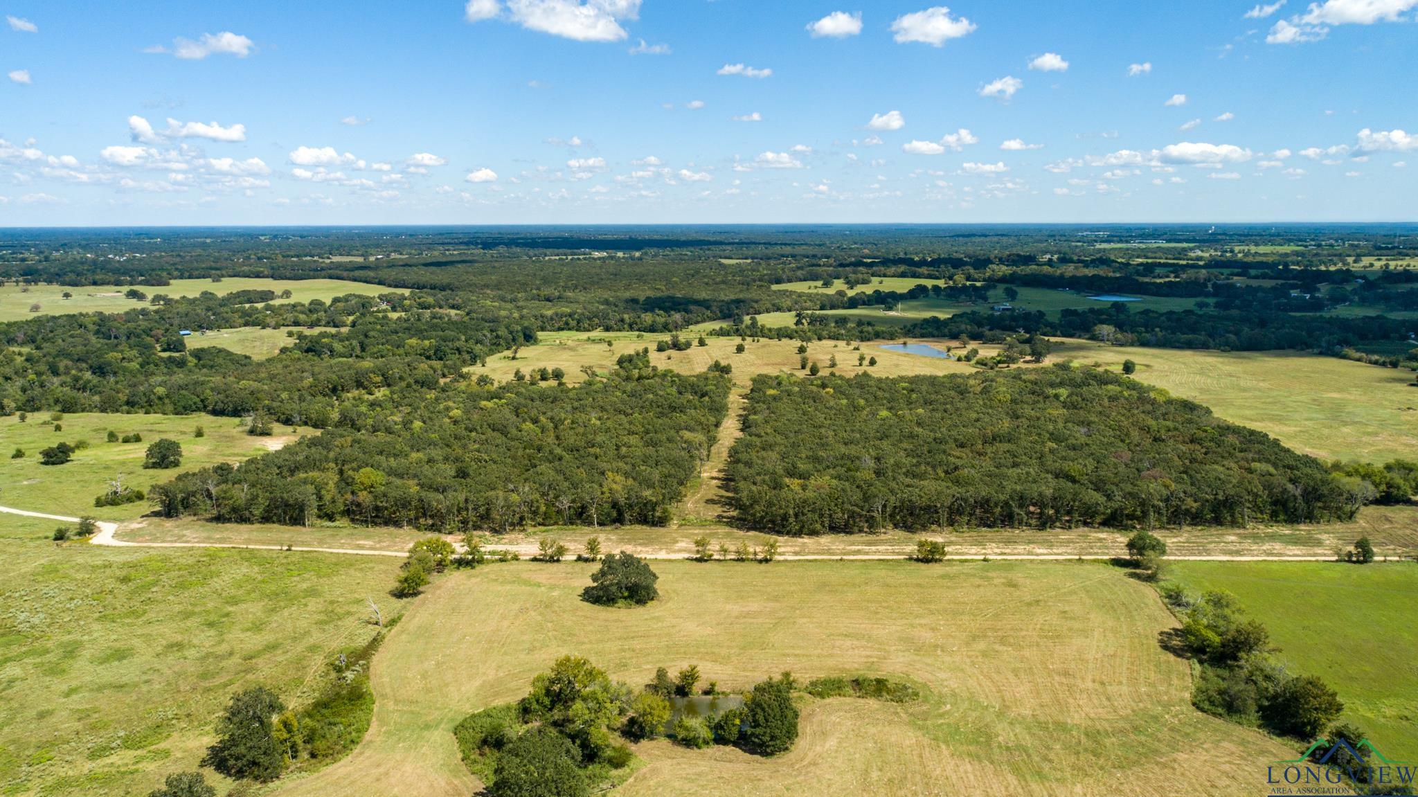 00 Vz County Road 1123, Fruitvale, Texas image 10