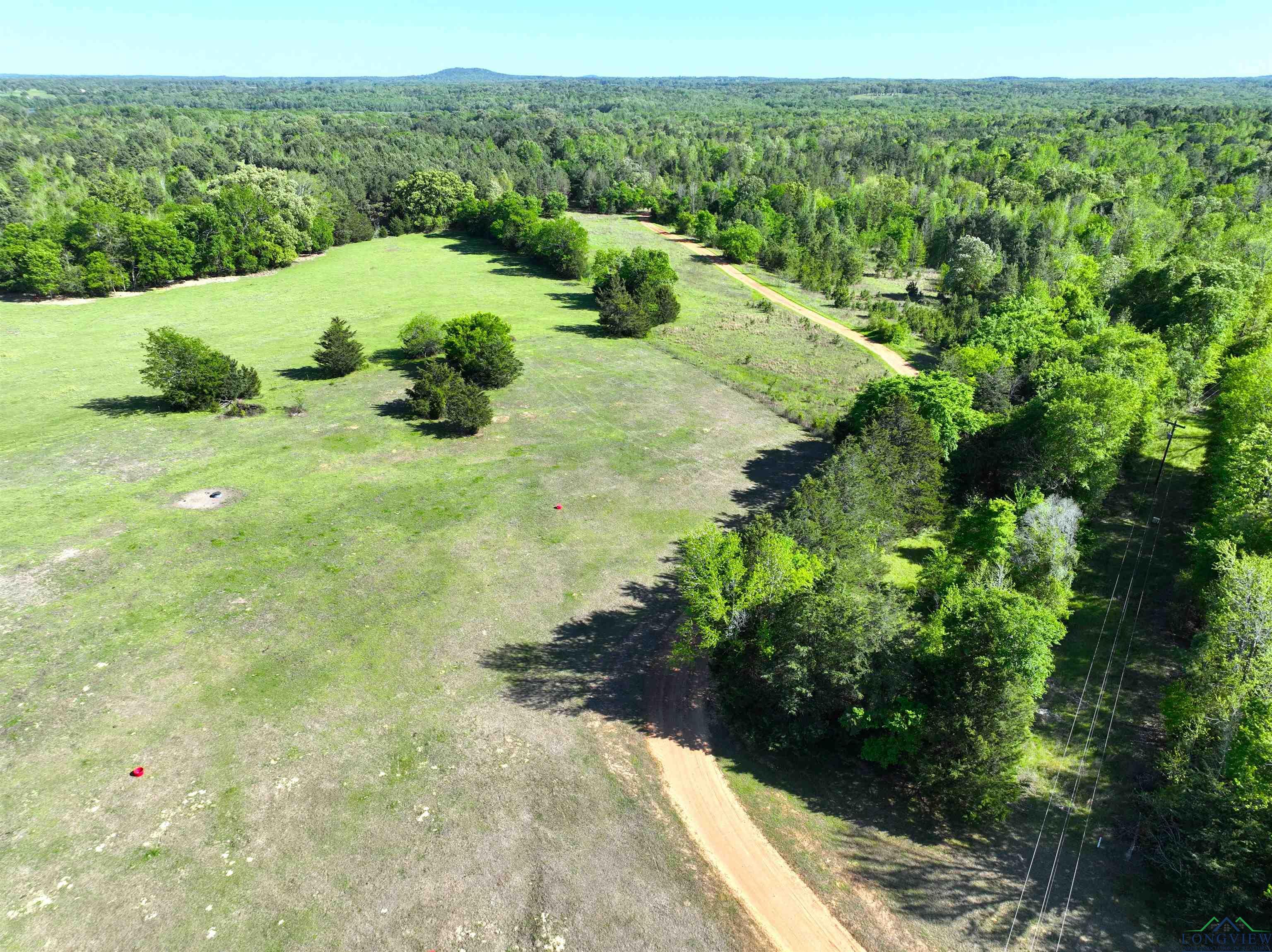 TBD Bison Road, Gilmer, Texas image 10