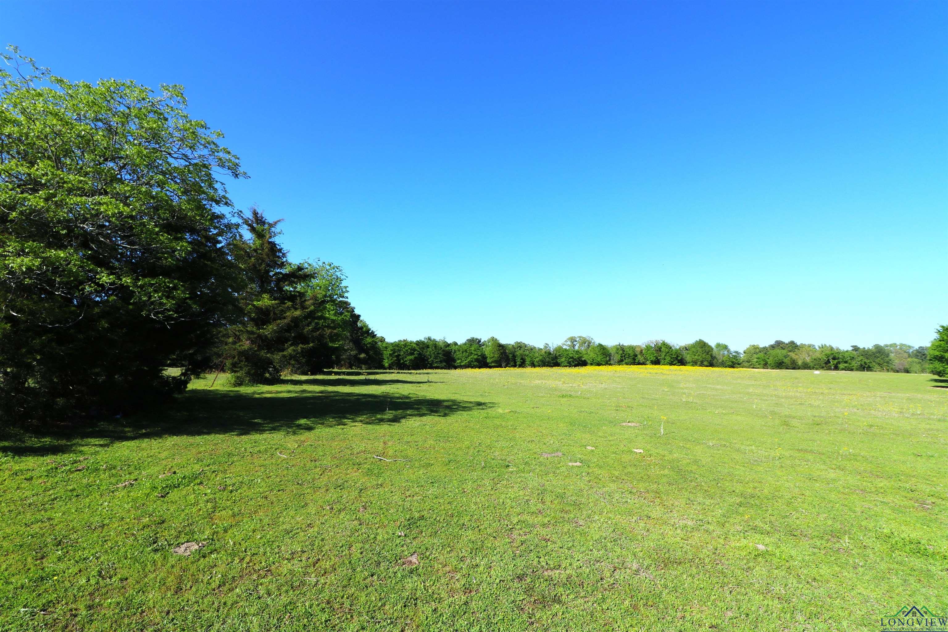 TBD Bison Road, Gilmer, Texas image 5