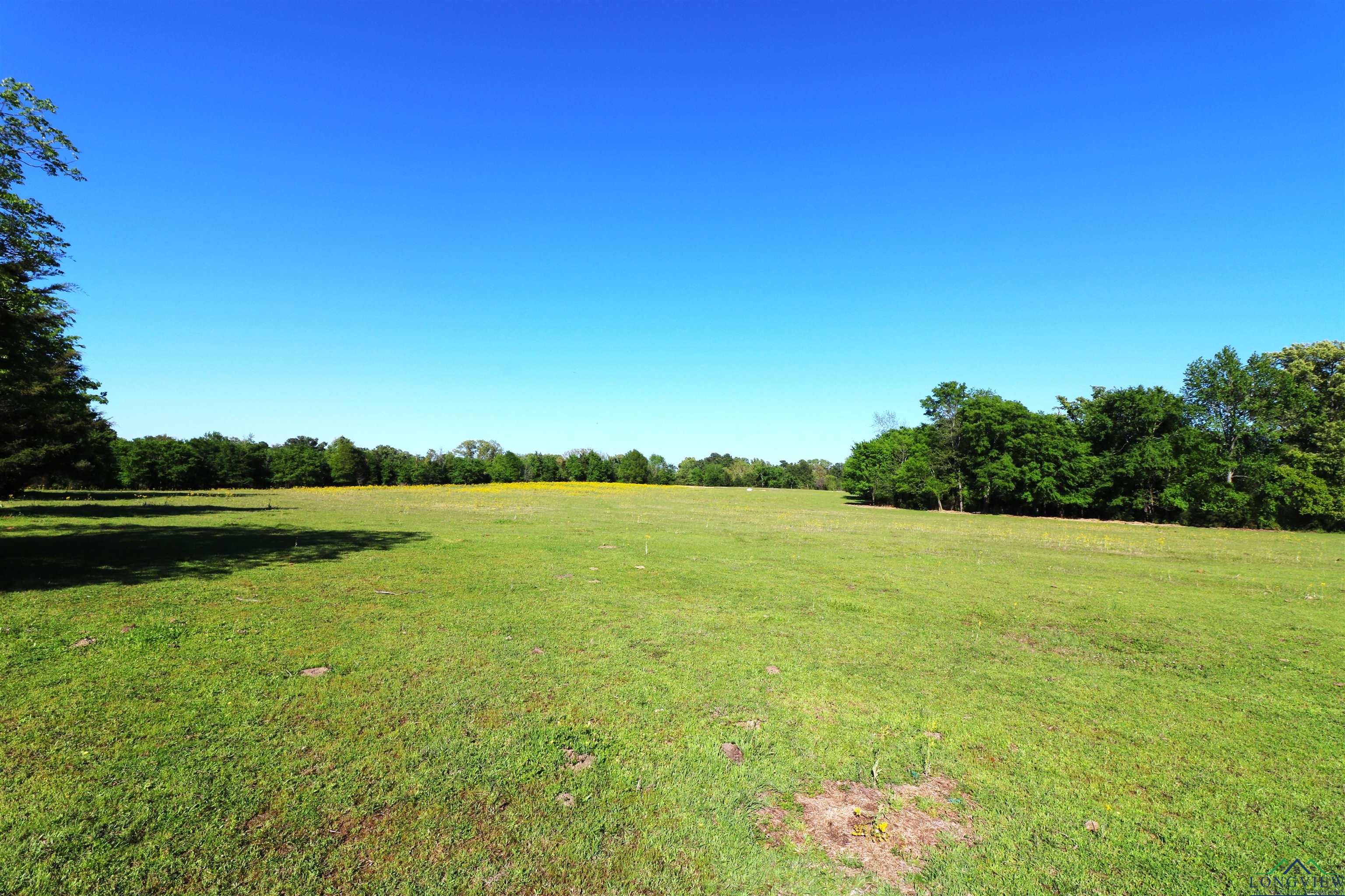 TBD Bison Road, Gilmer, Texas image 27