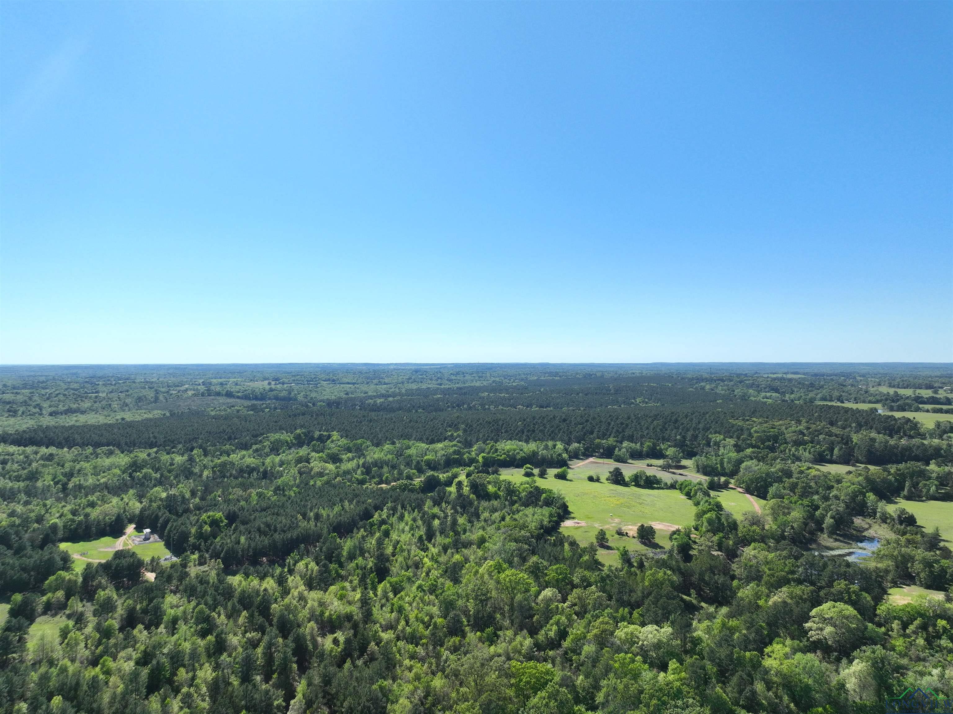 TBD Bison Road, Gilmer, Texas image 28