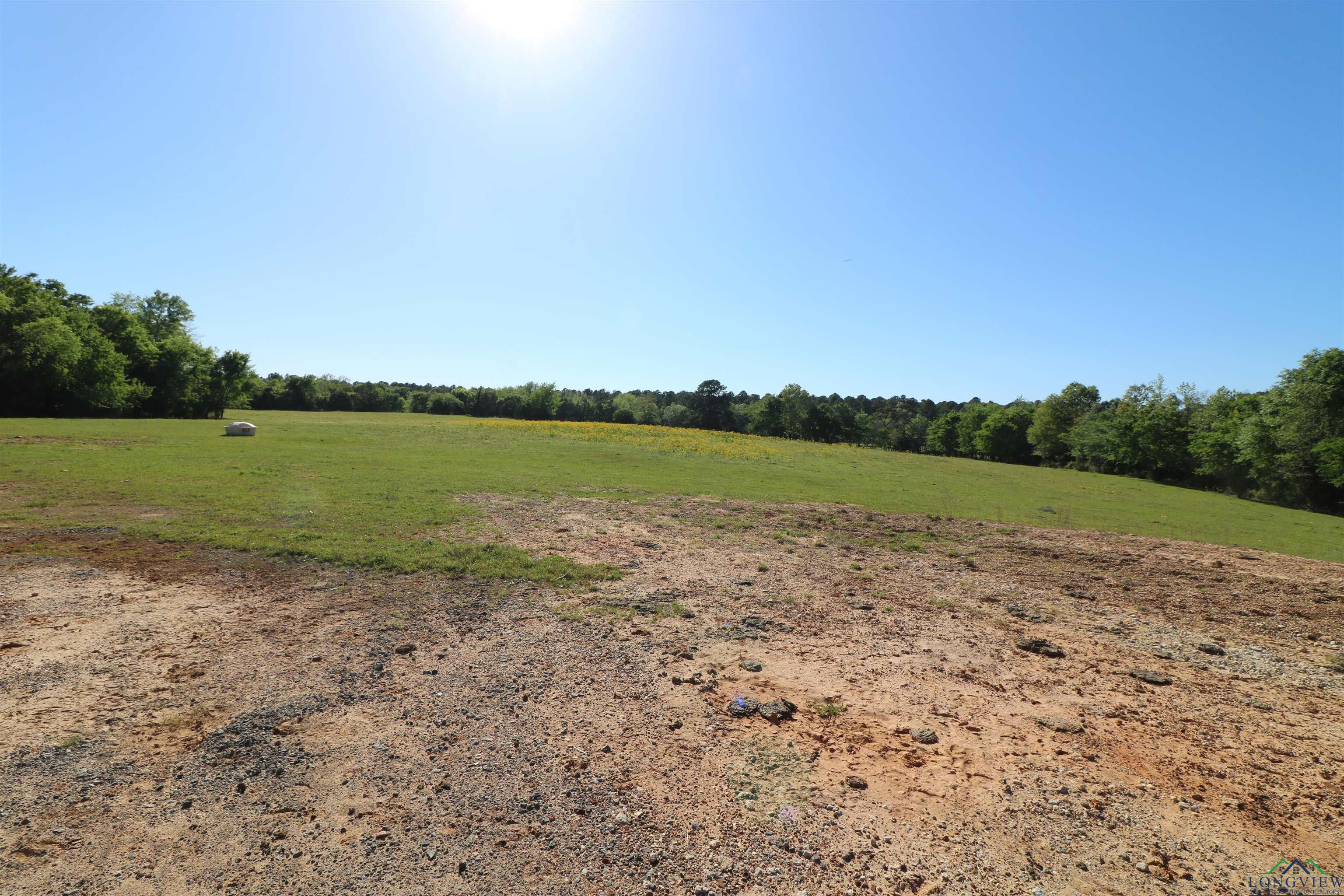 TBD Bison Road, Gilmer, Texas image 26