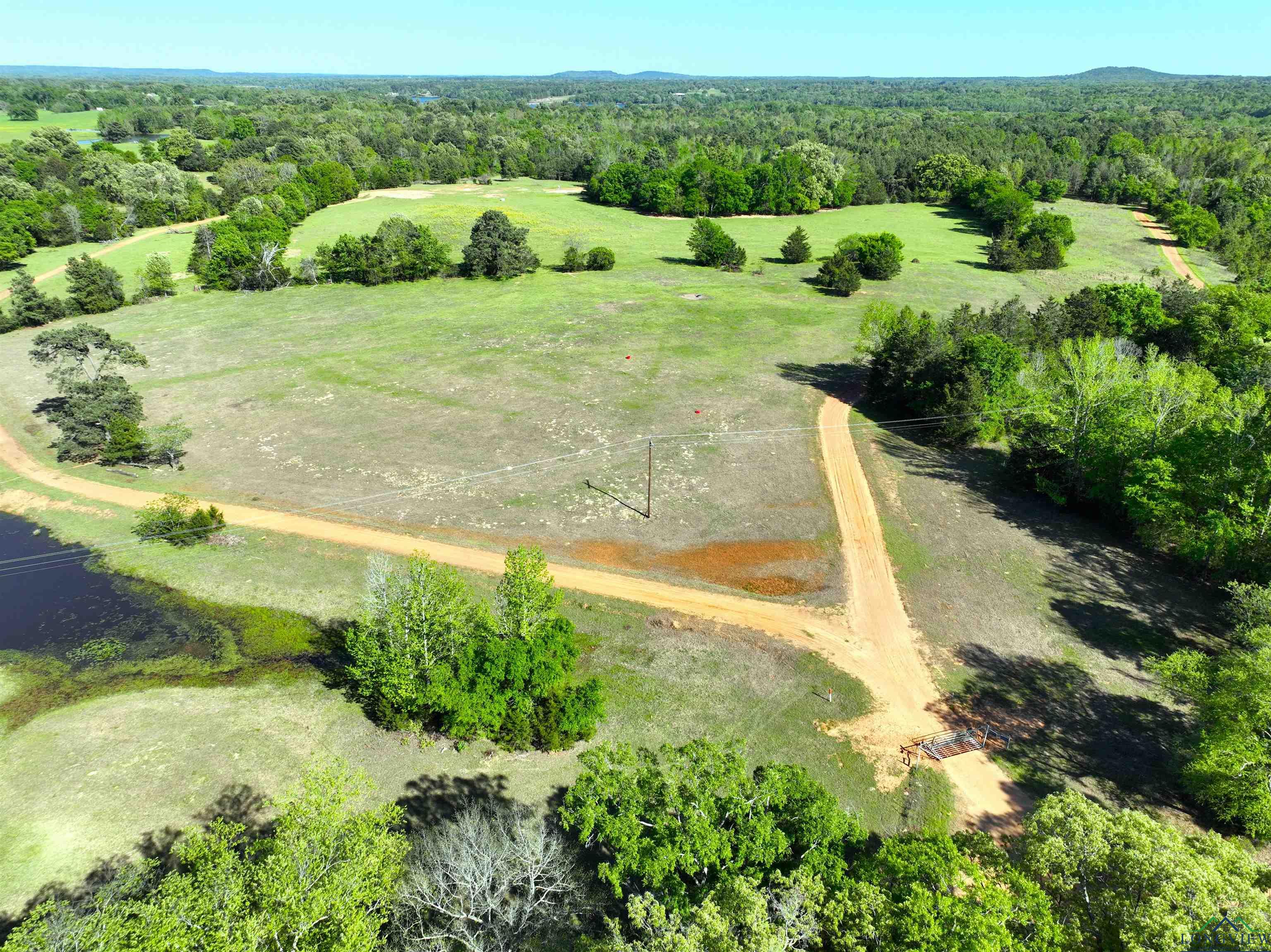 TBD Bison Road, Gilmer, Texas image 15