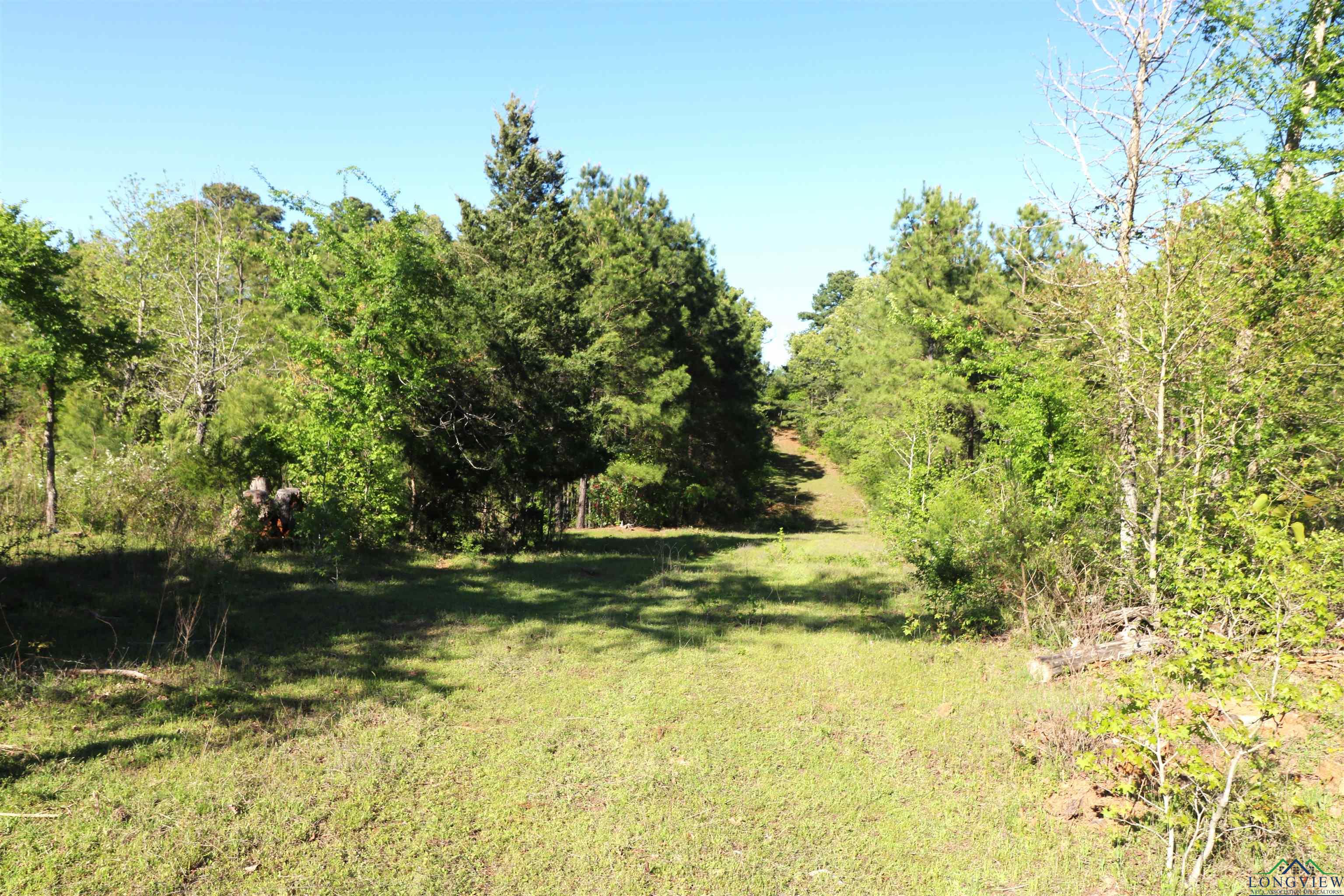 TBD Bison Road, Gilmer, Texas image 7