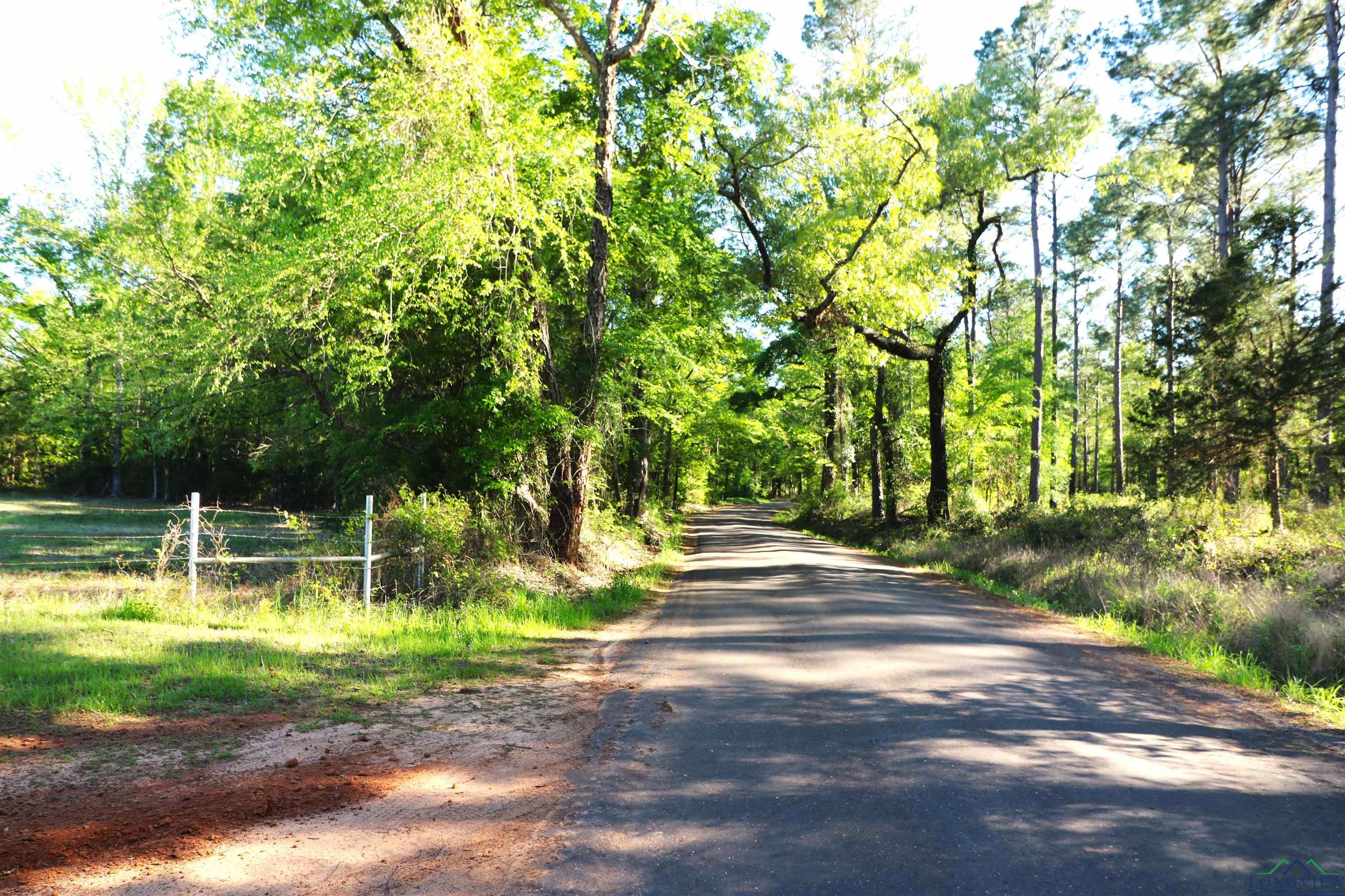 TBD Bison Road, Gilmer, Texas image 34