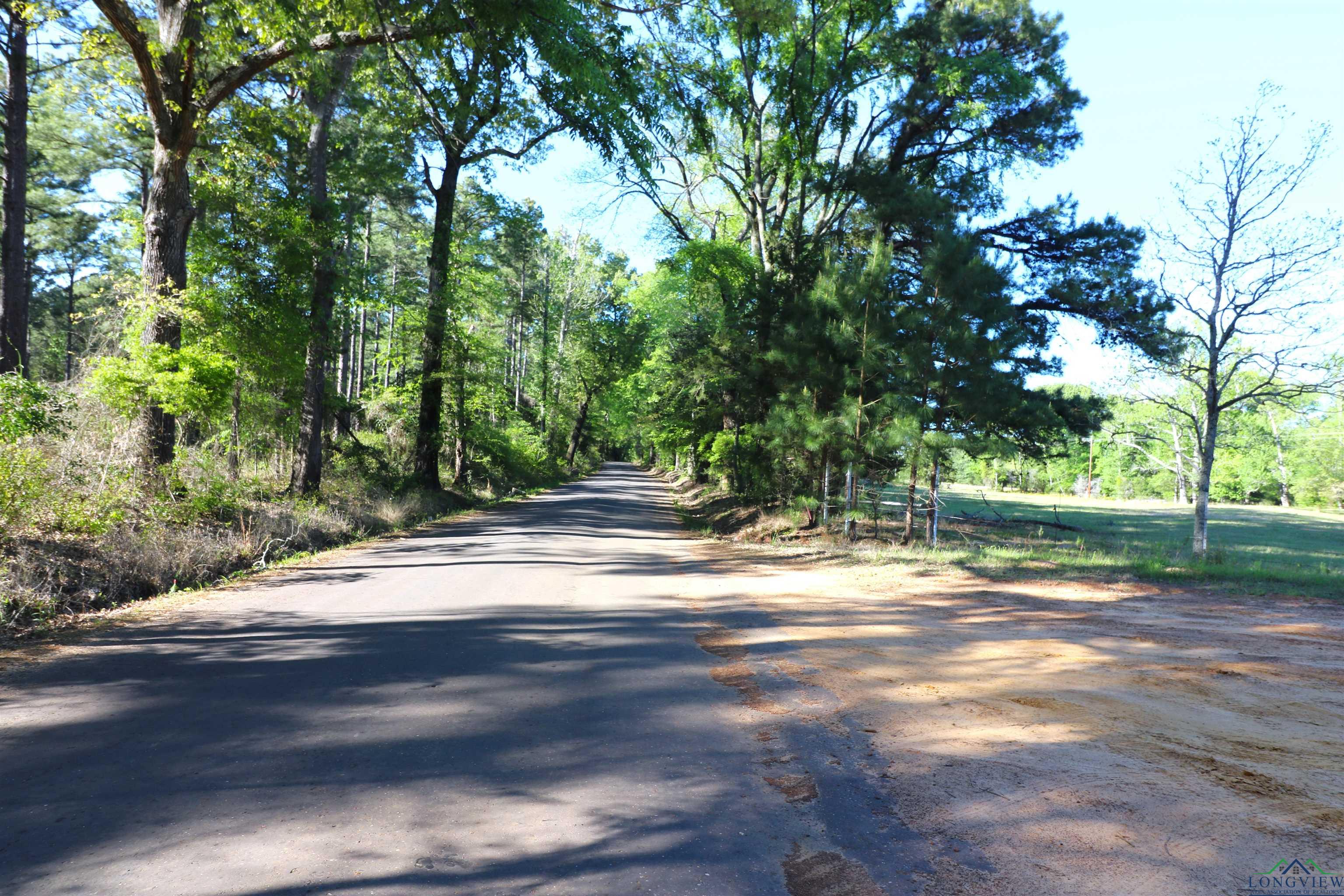 TBD Bison Road, Gilmer, Texas image 4