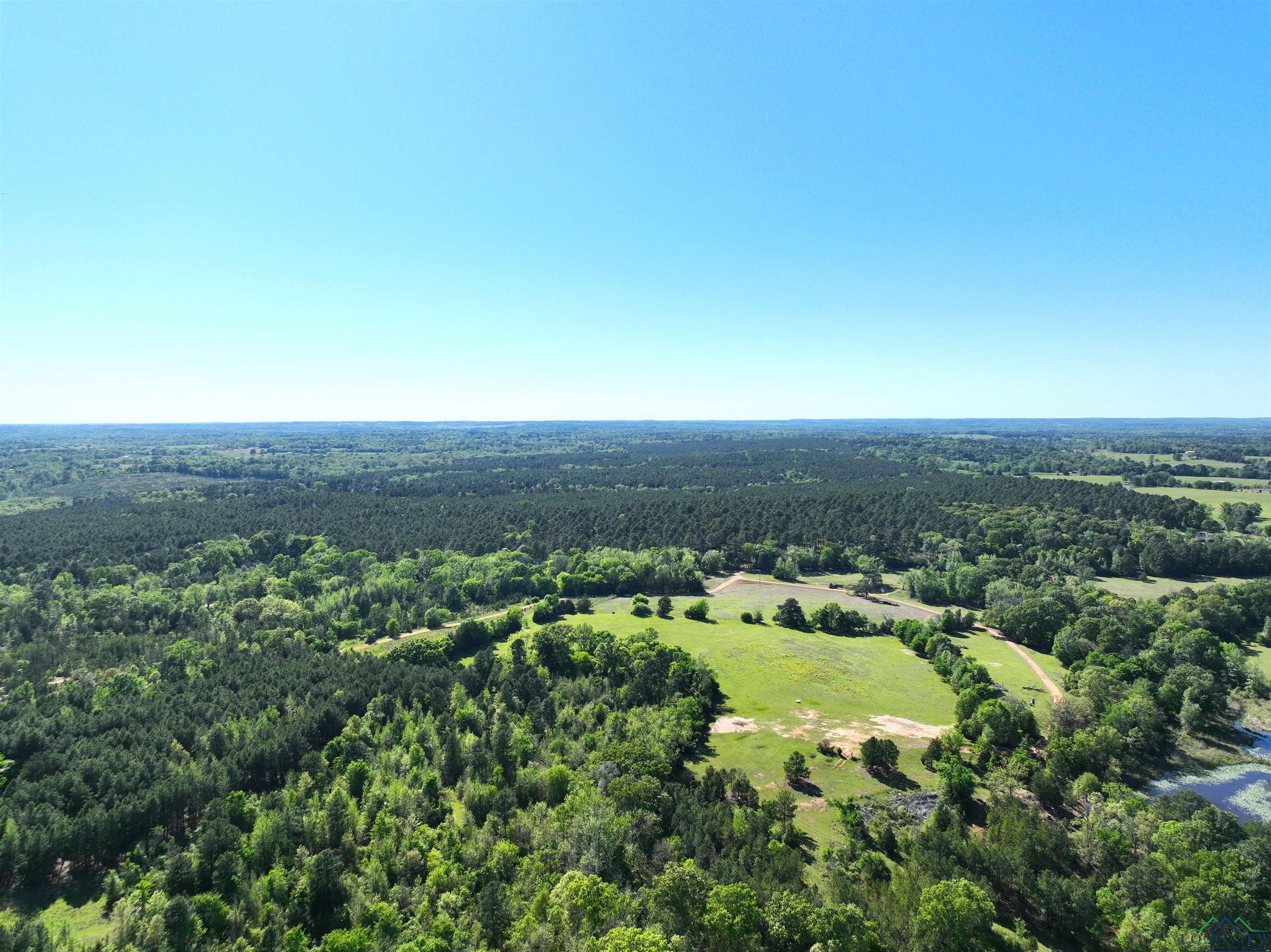 TBD Bison Road, Gilmer, Texas image 17