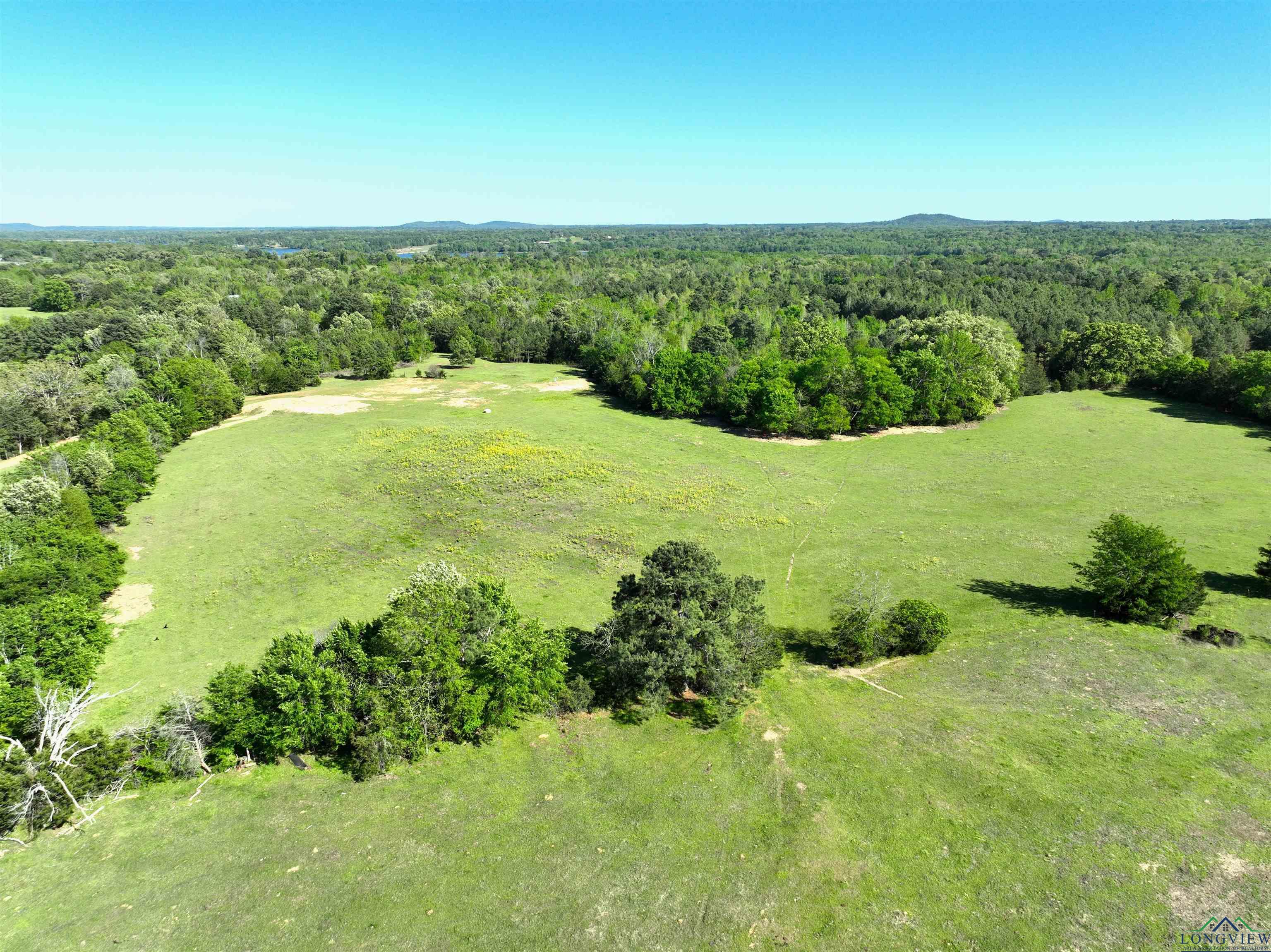 TBD Bison Road, Gilmer, Texas image 3