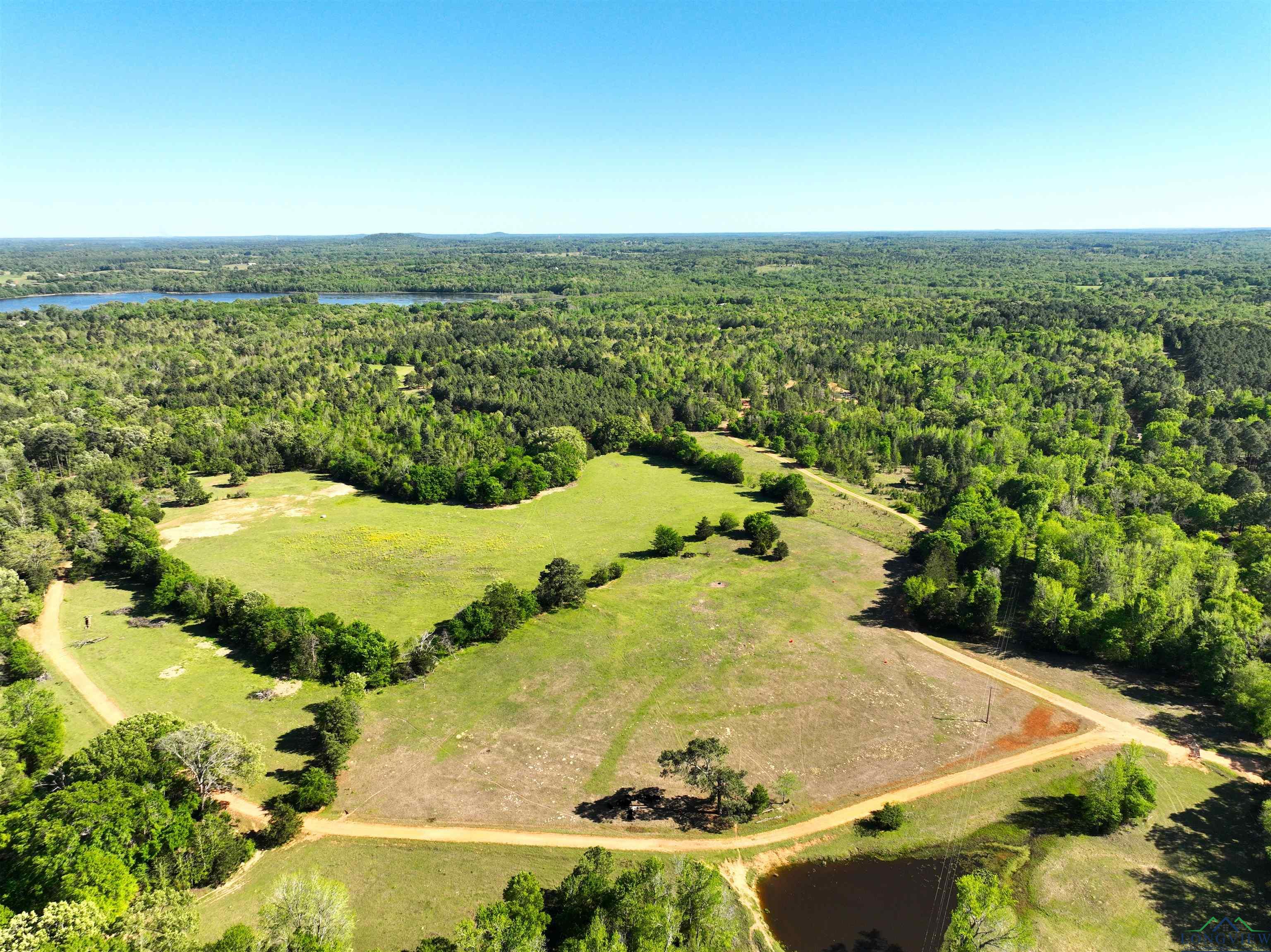 TBD Bison Road, Gilmer, Texas image 9