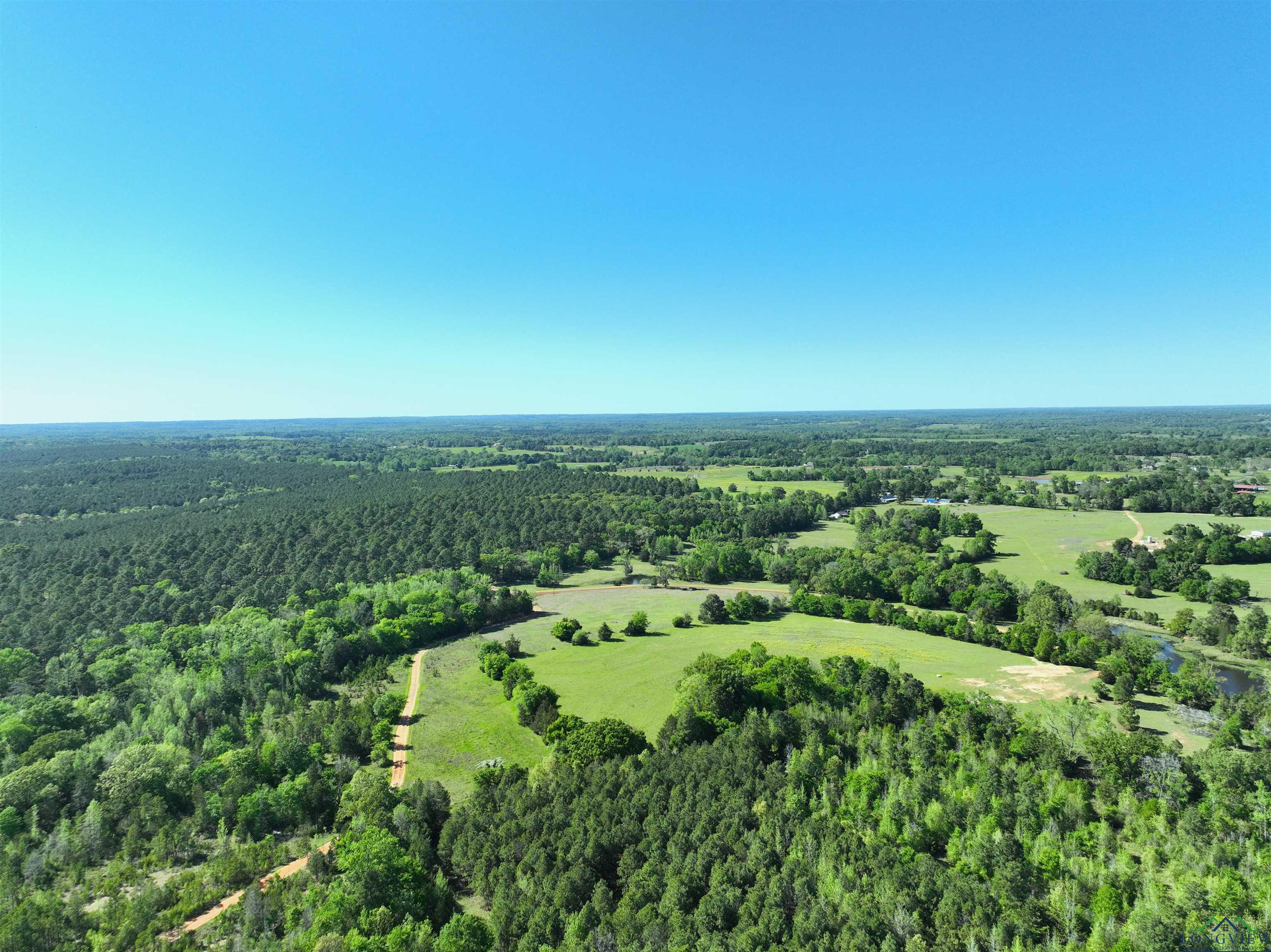 TBD Bison Road, Gilmer, Texas image 18