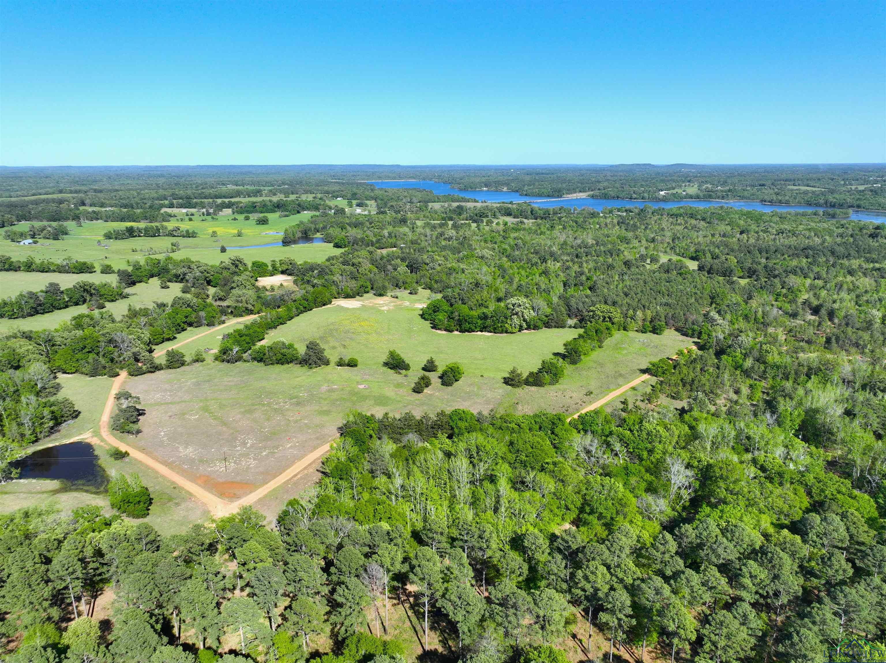 TBD Bison Road, Gilmer, Texas image 14