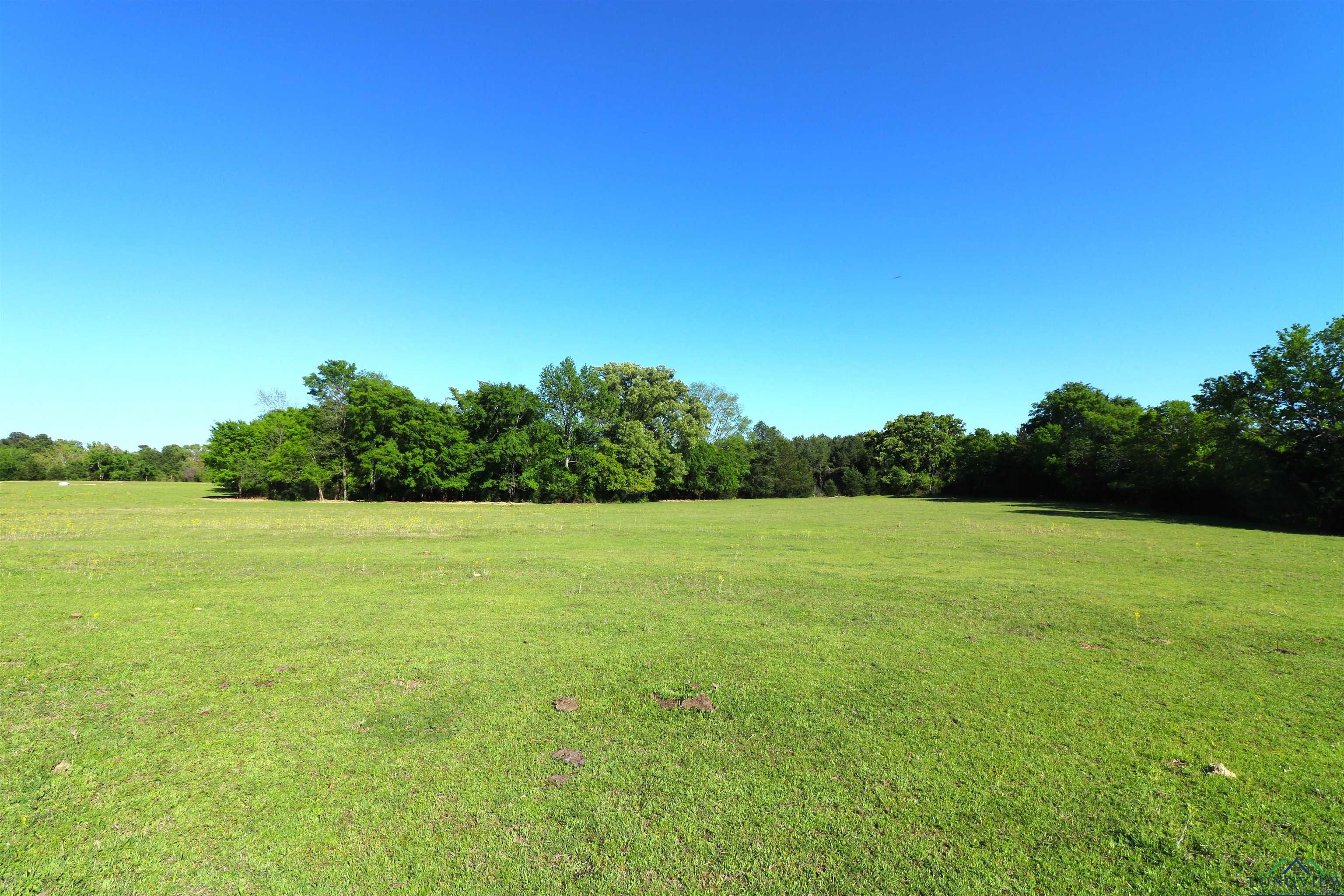 TBD Bison Road, Gilmer, Texas image 6