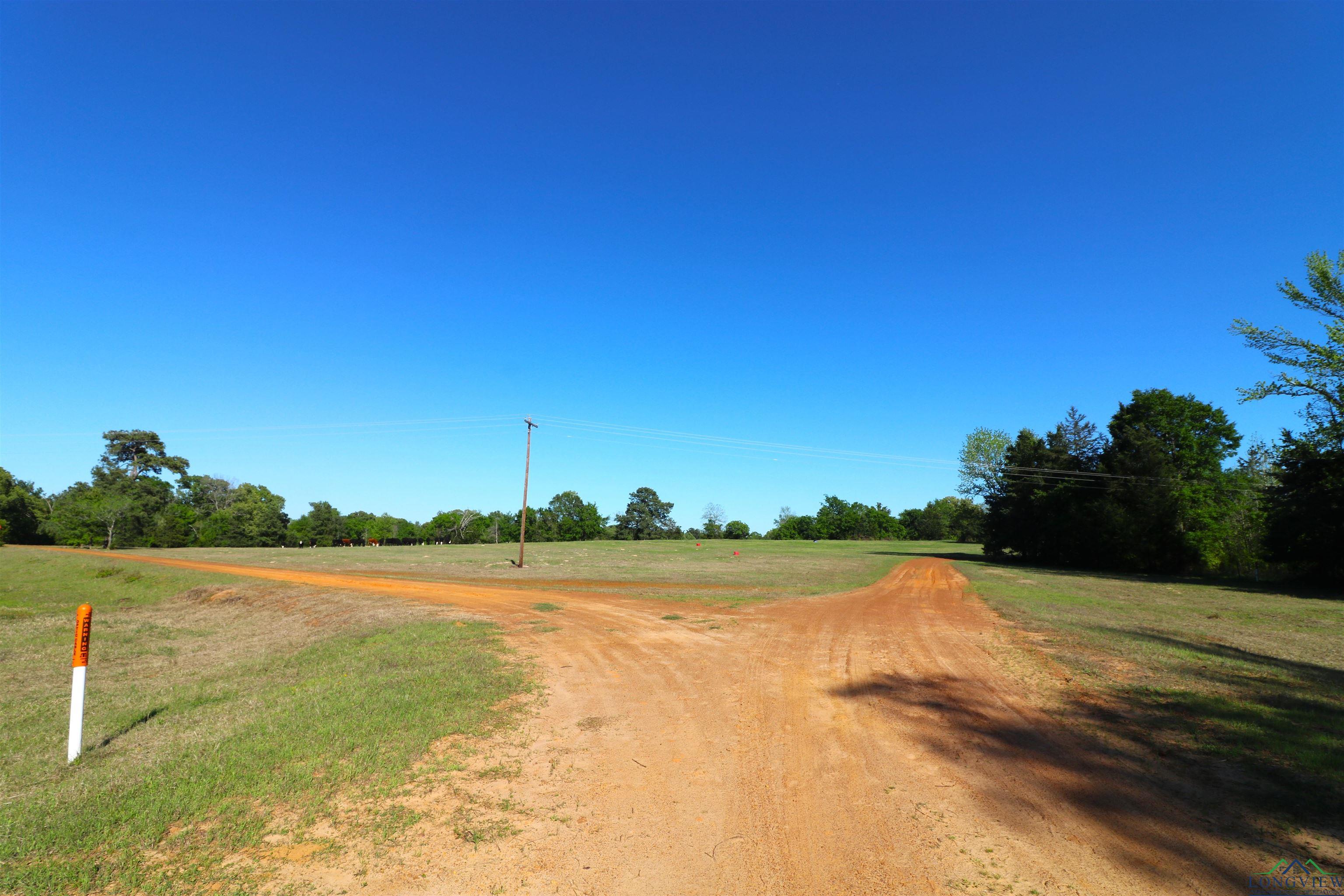 TBD Bison Road, Gilmer, Texas image 21