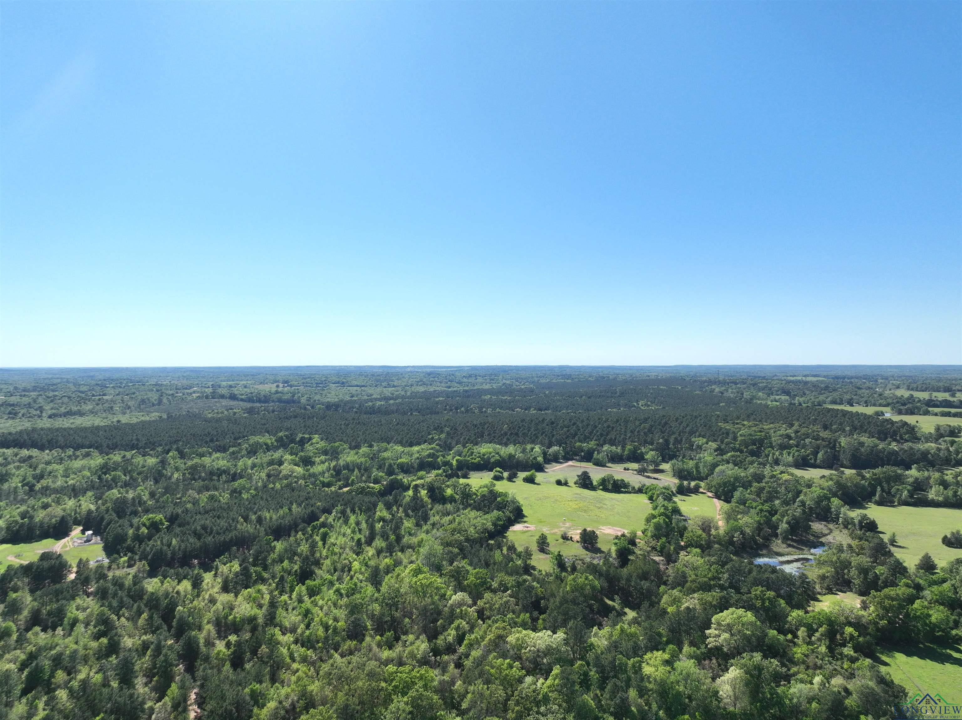 TBD Bison Road, Gilmer, Texas image 16