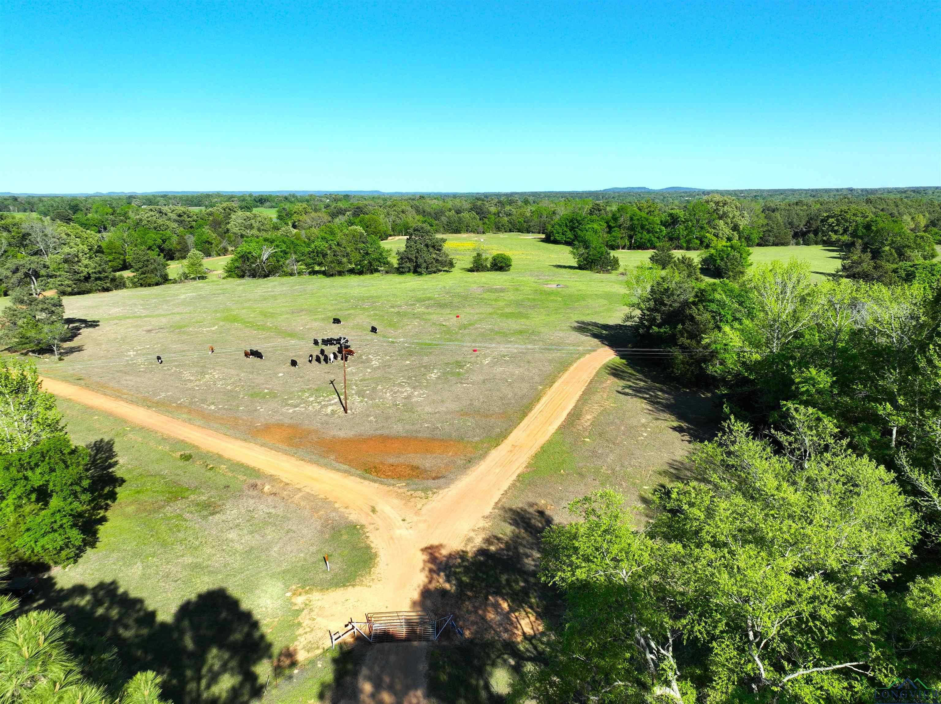 TBD Bison Road, Gilmer, Texas image 22