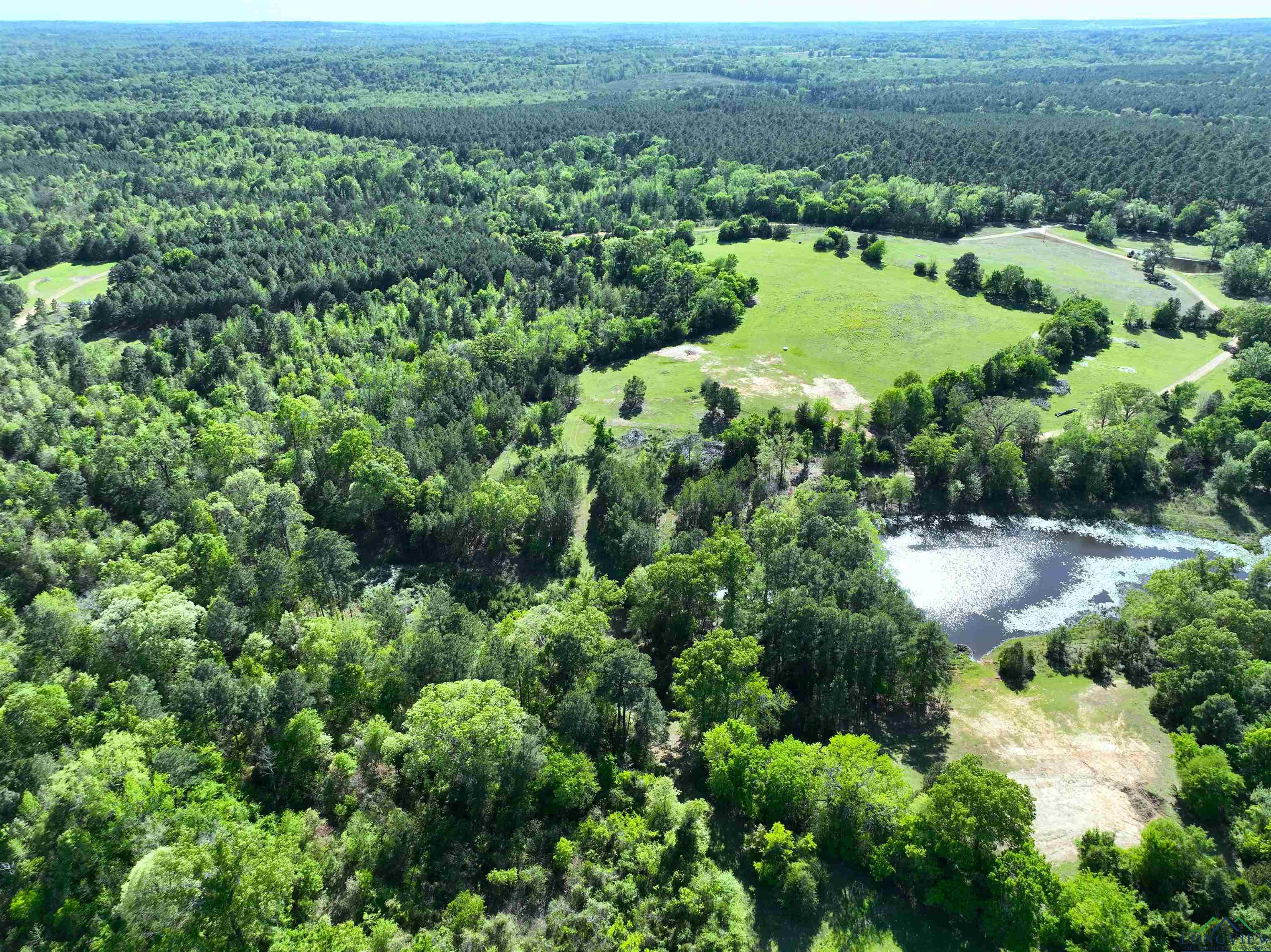 TBD Bison Road, Gilmer, Texas image 19