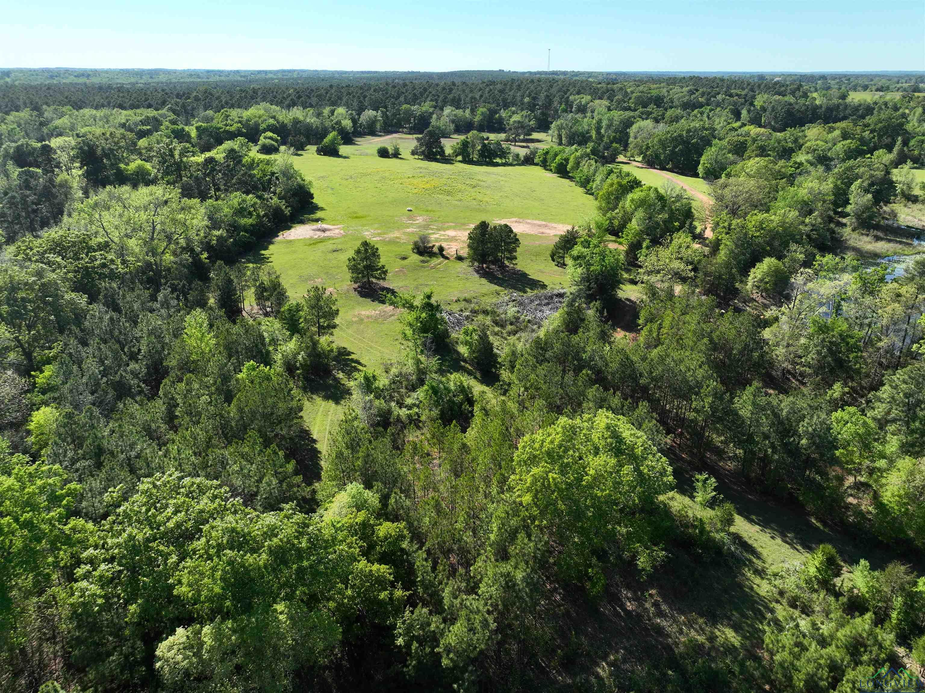 TBD Bison Road, Gilmer, Texas image 31