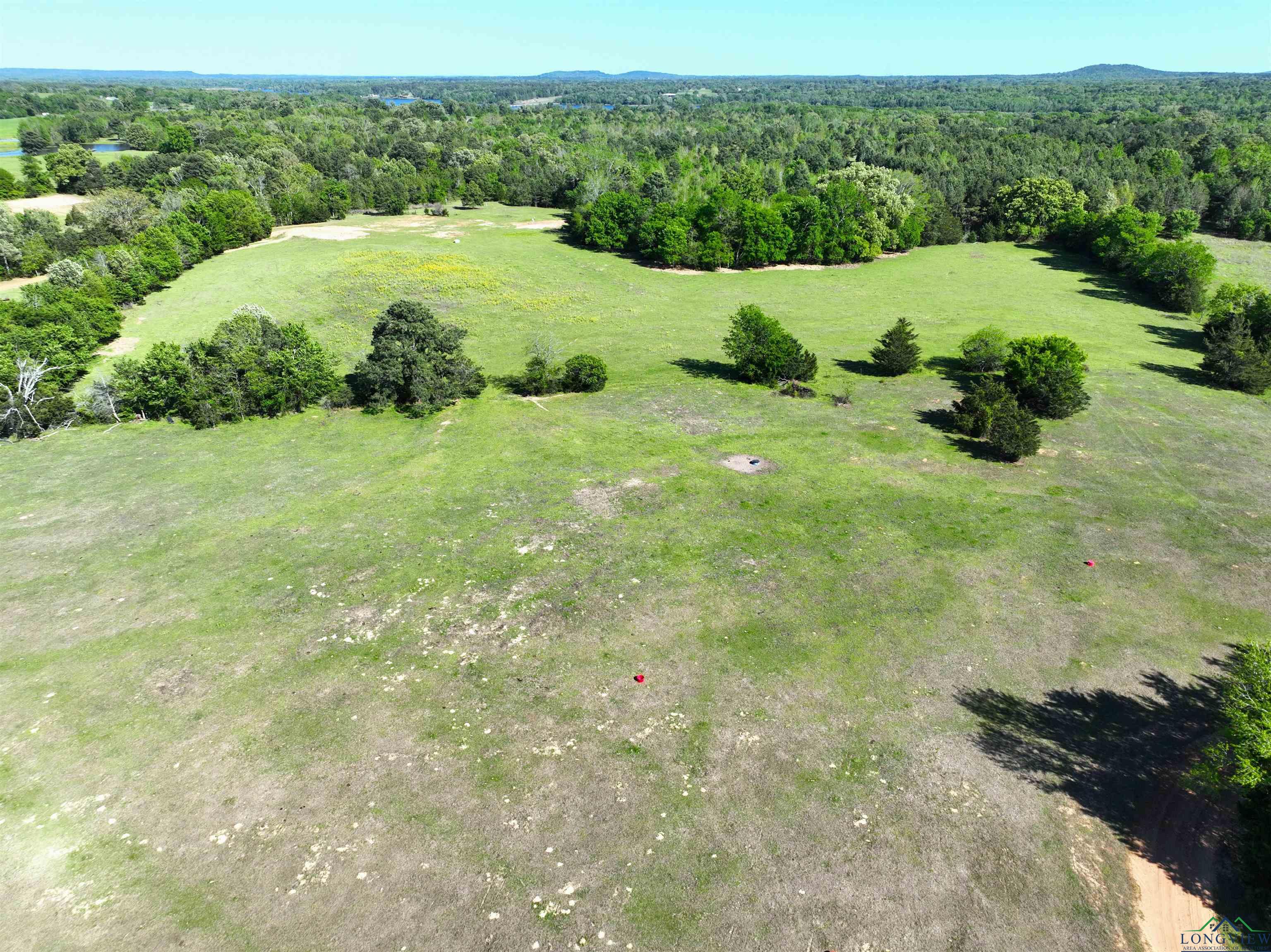 TBD Bison Road, Gilmer, Texas image 11