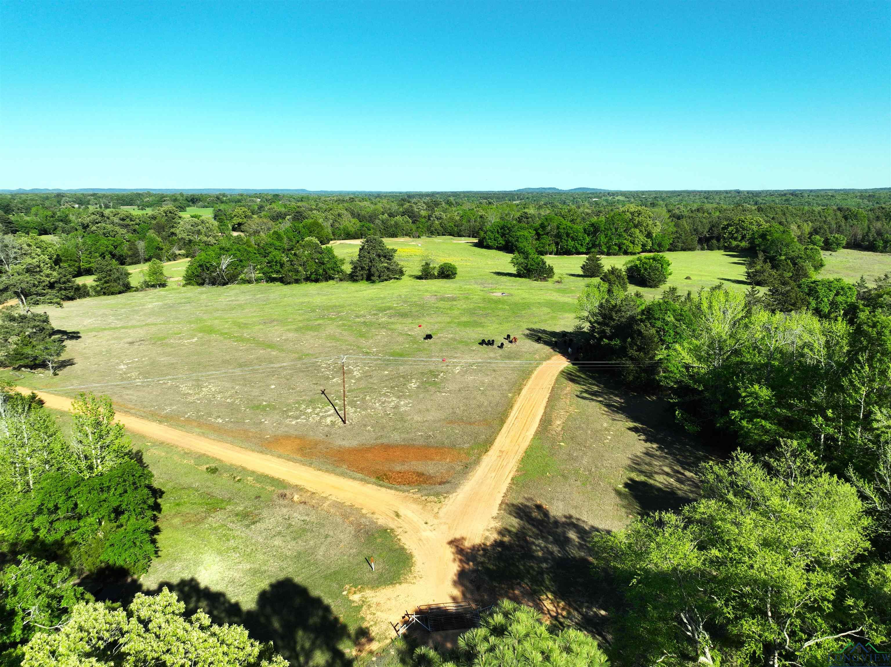 TBD Bison Road, Gilmer, Texas image 30