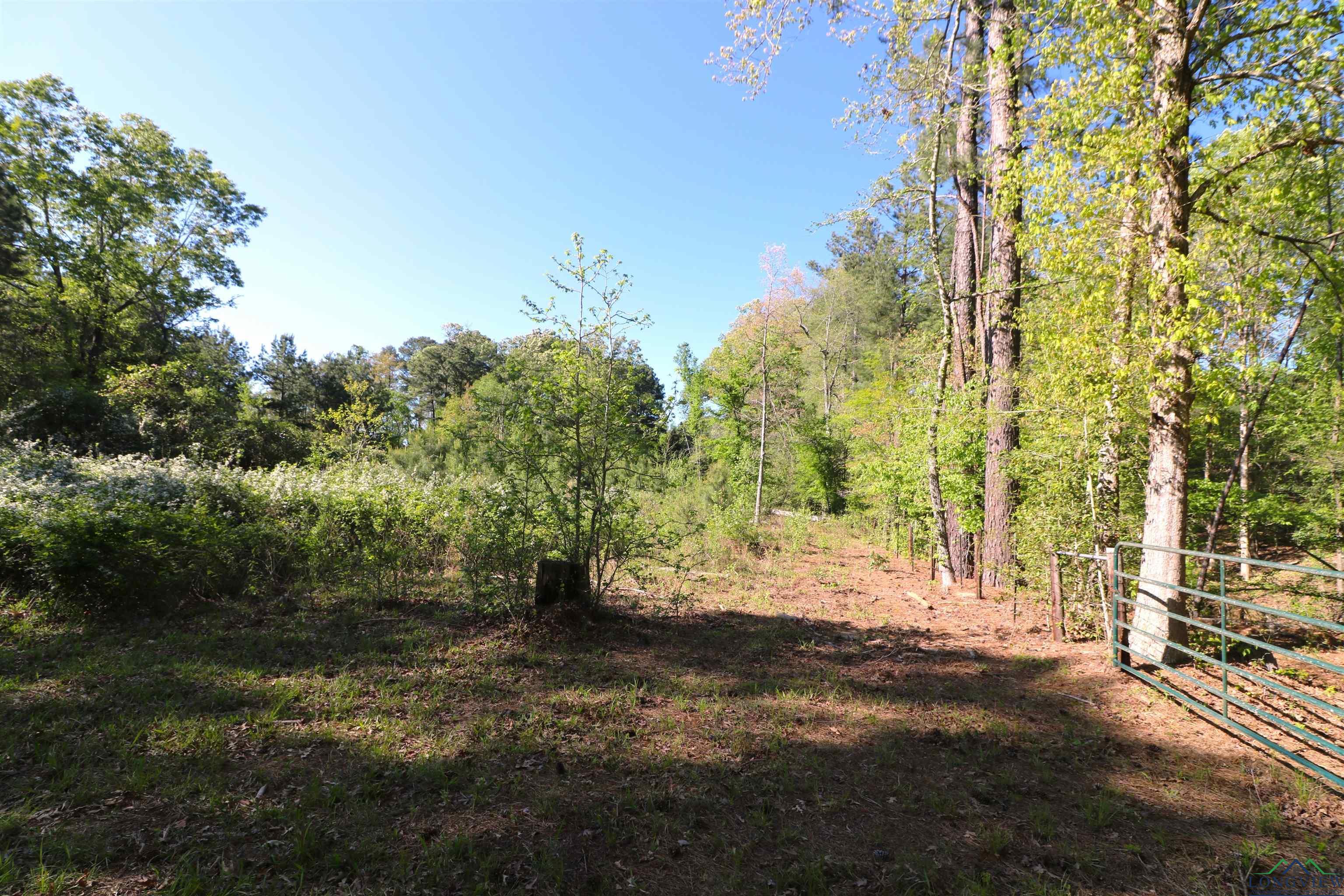 TBD Bison Road, Gilmer, Texas image 8