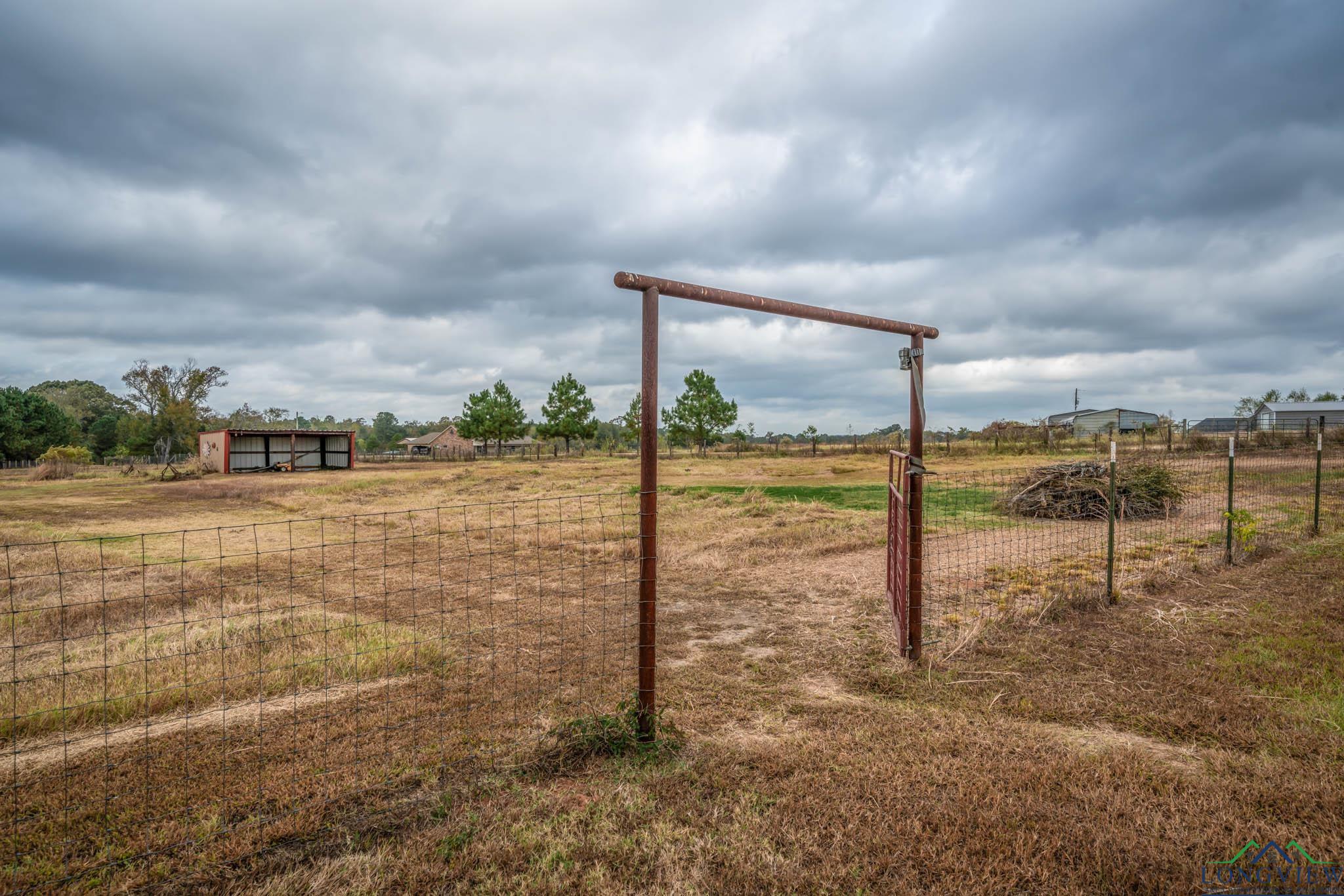 2436 E Finch Road, Gilmer, Texas image 9