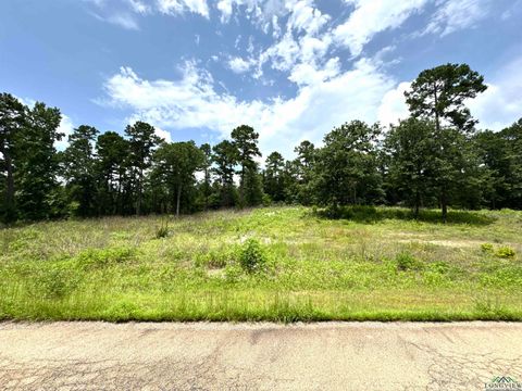 Vacant Land For Sale - LOT 9 Cr 3545<br/> Wood County, Hawkins, TX 75765