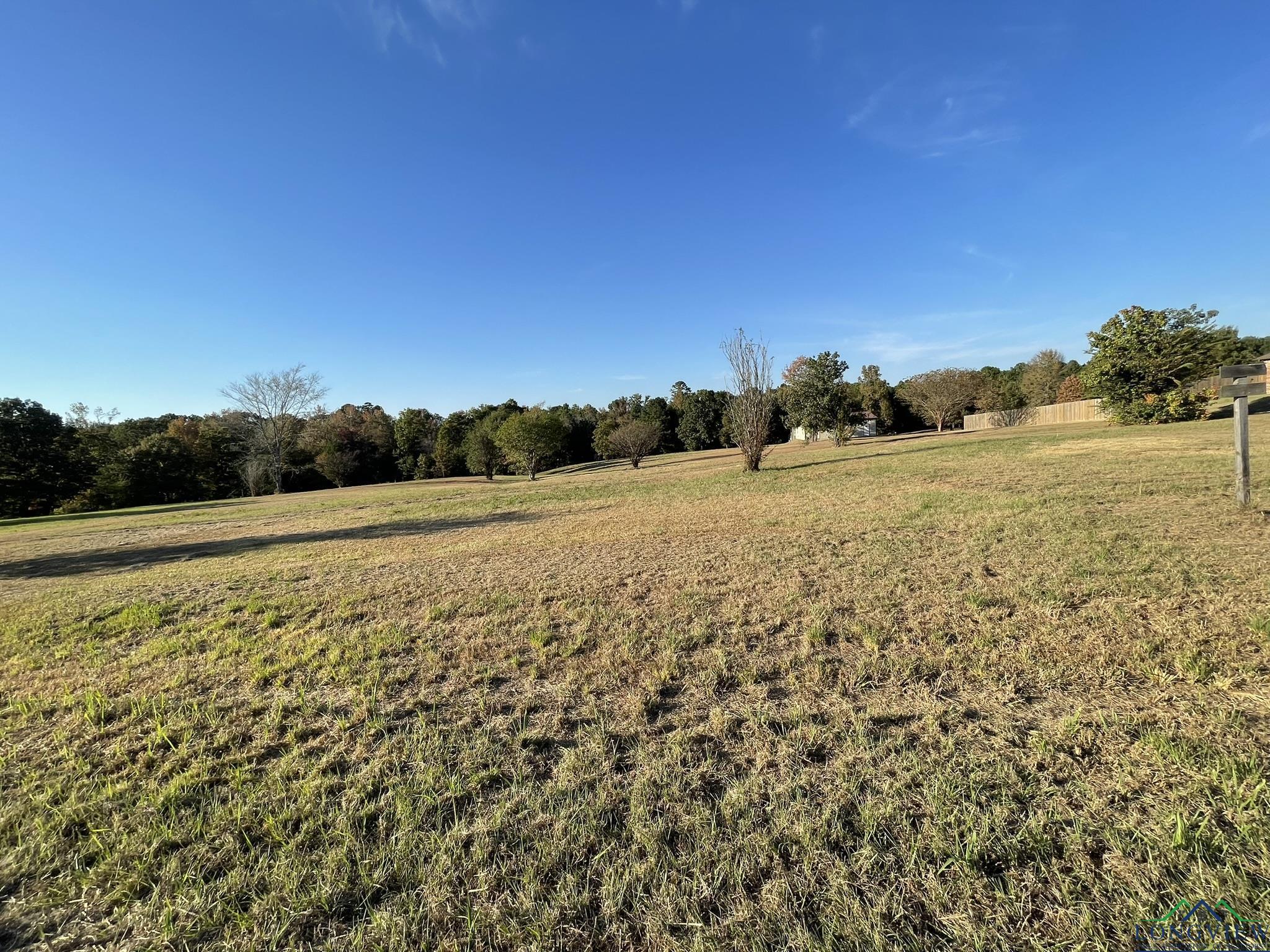 TBD N Sego Lily Rd, Diana, Texas image 6