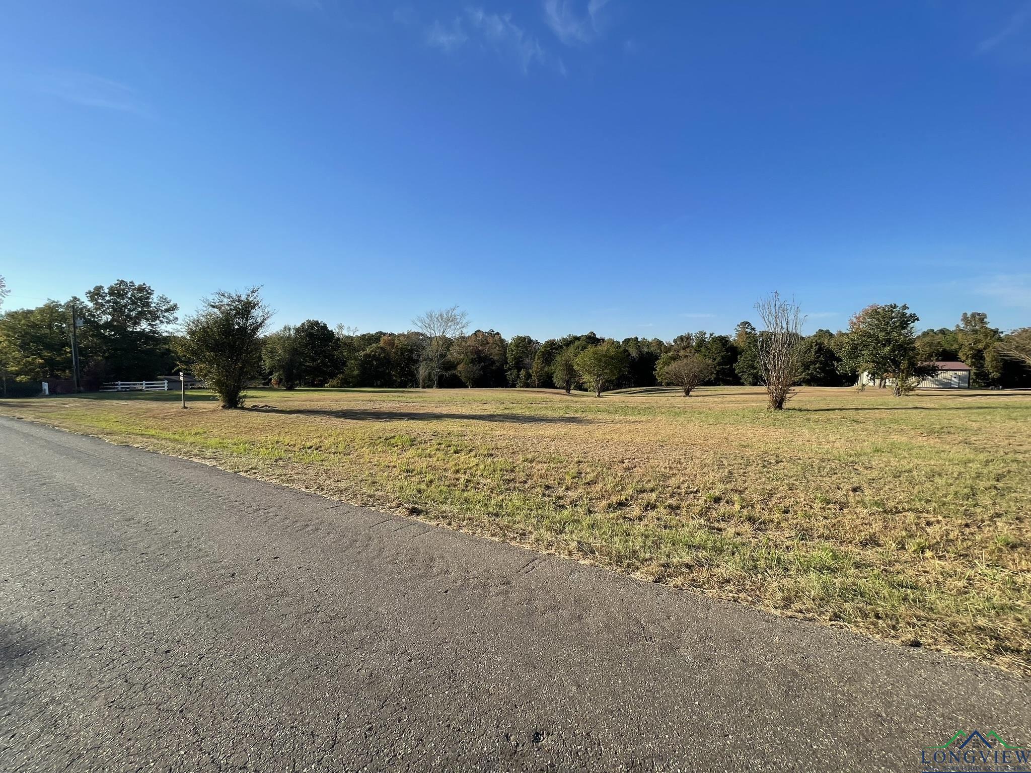 TBD N Sego Lily Rd, Diana, Texas image 26