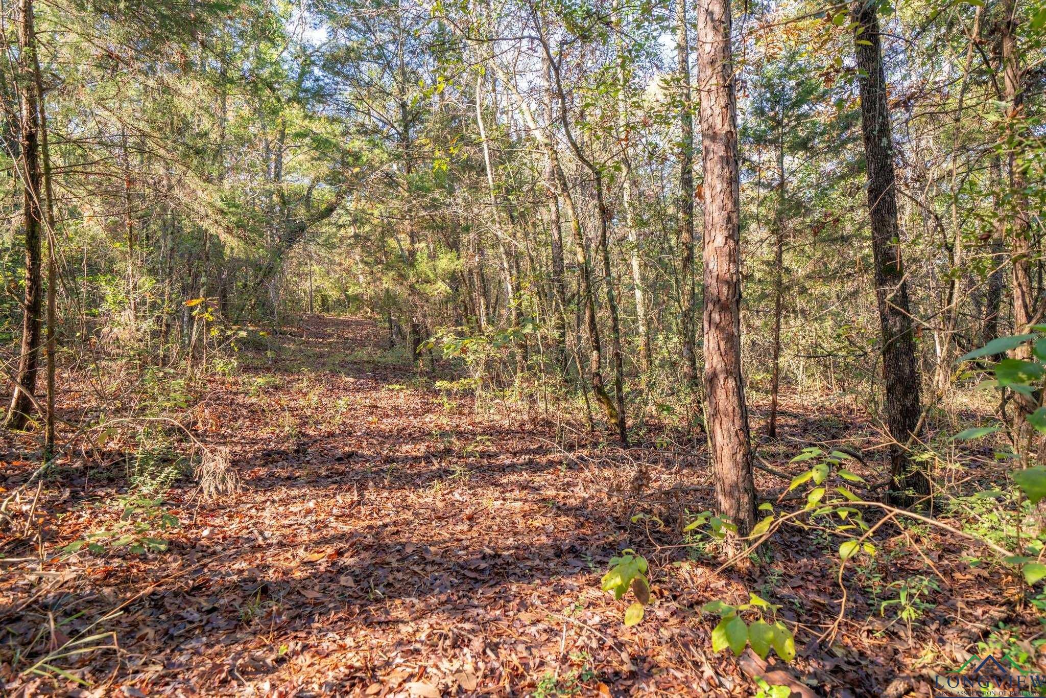 0000 N Fm 1002, Winnsboro, Texas image 9