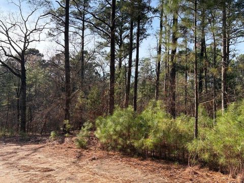 Vacant Land For Sale - LOTS 144 & 145 Silver Oaks Drive<br/> Flint, TX 75762