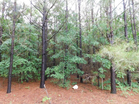 Vacant Land For Sale - TBD Groundhog<br/> Gilmer, TX 75644
