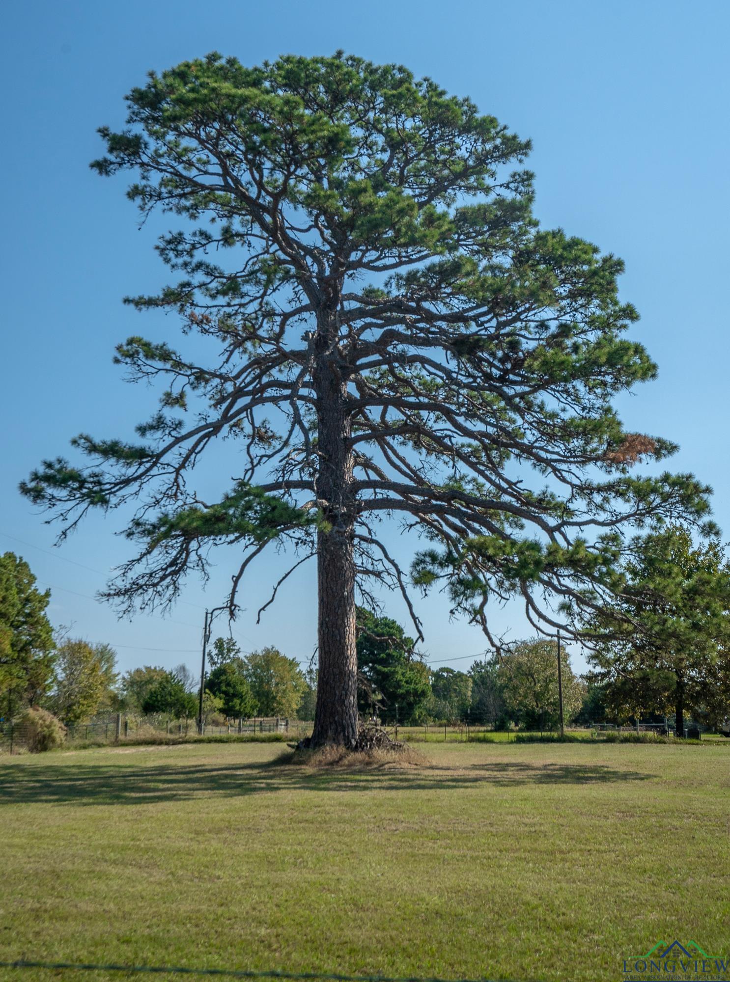 1057 Fir Rd, Gladewater, Texas image 33