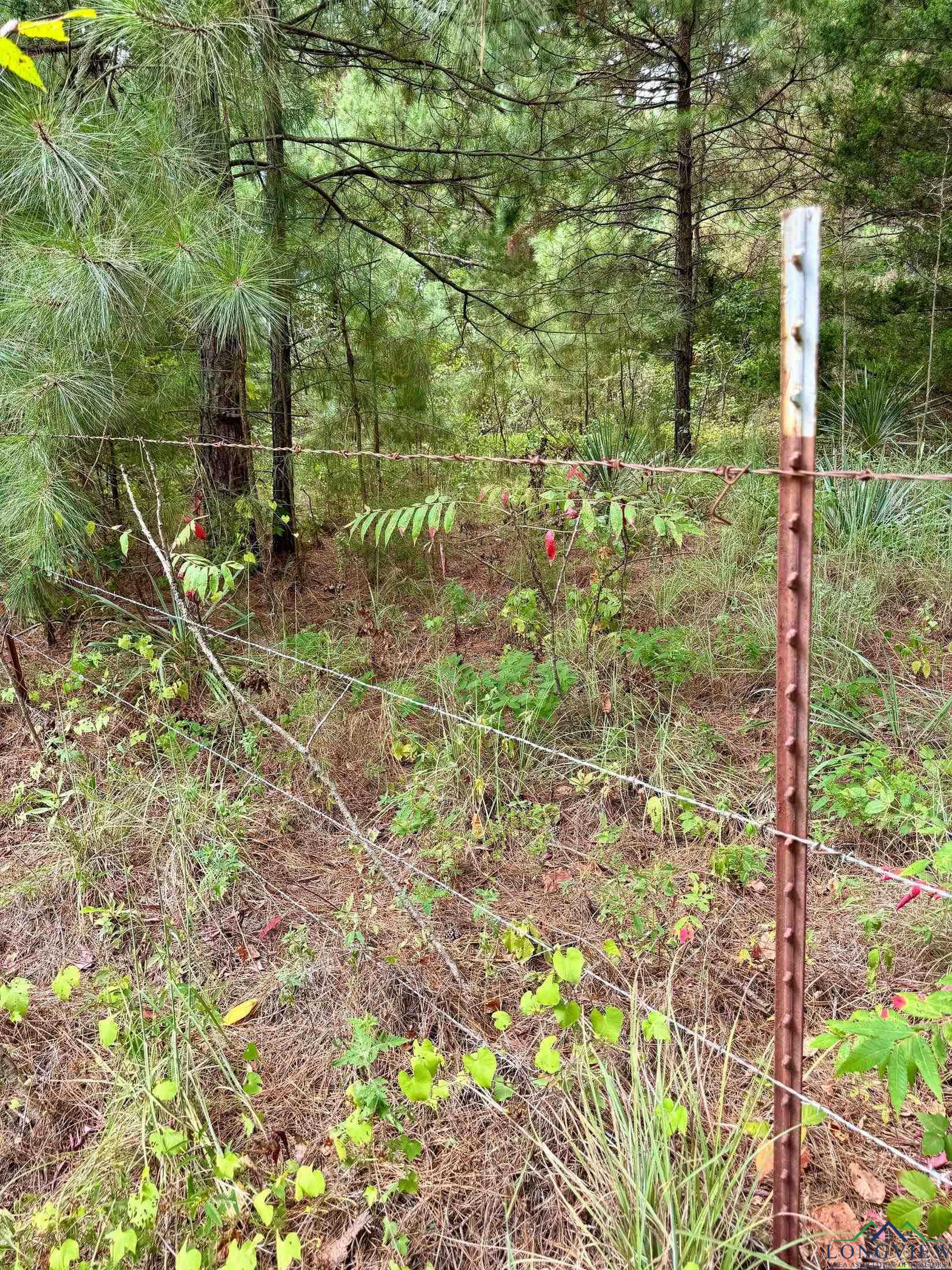 TBD County Road 2228, Douglassville, Texas image 8