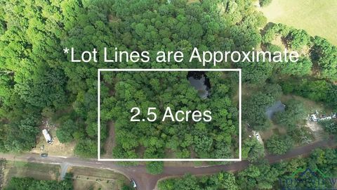 Vacant Land For Sale - TBD Bobwhite Rd<br/> Gilmer, TX 75645