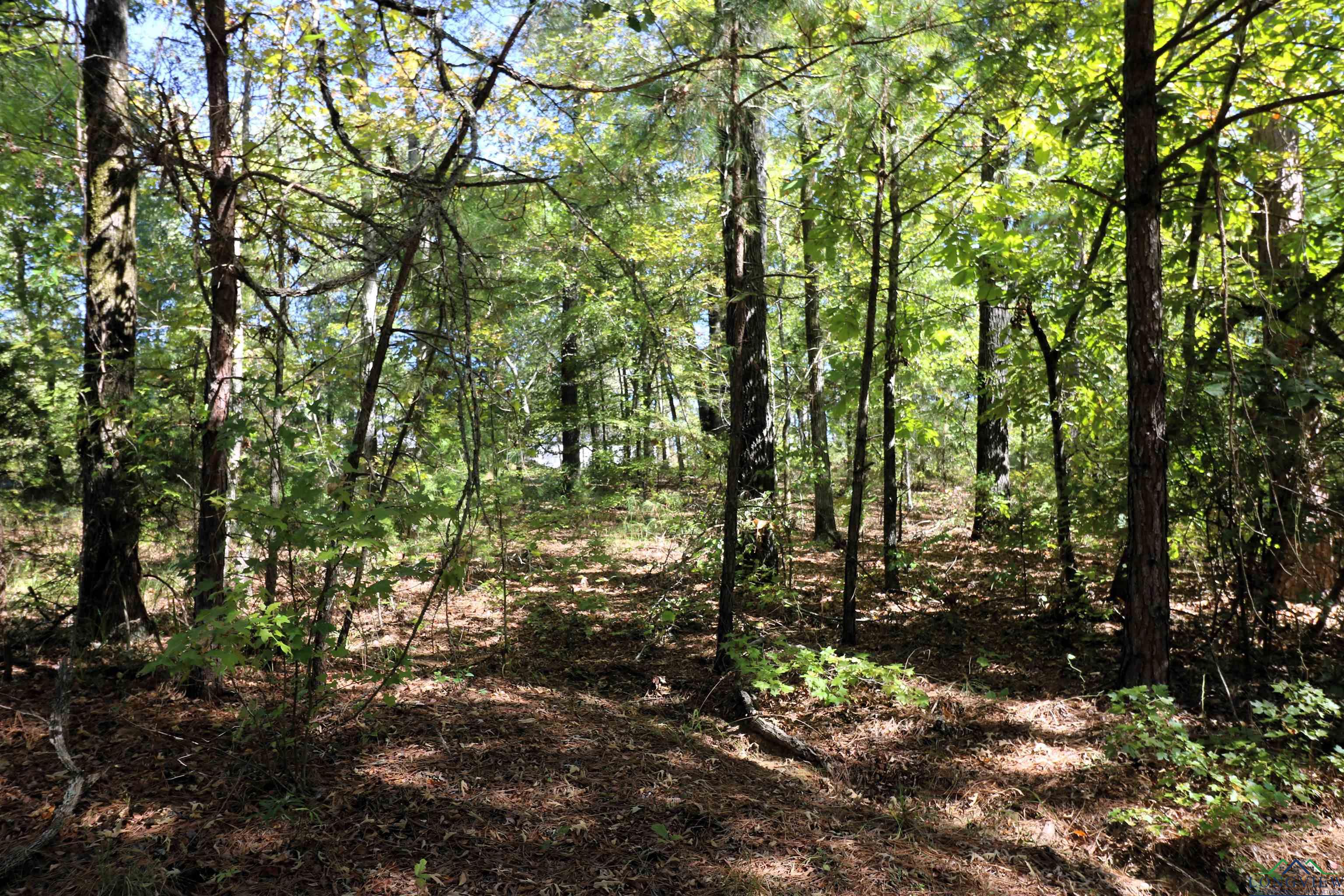 Lot 19 Block 3 John Dean Road, Gilmer, Texas image 10