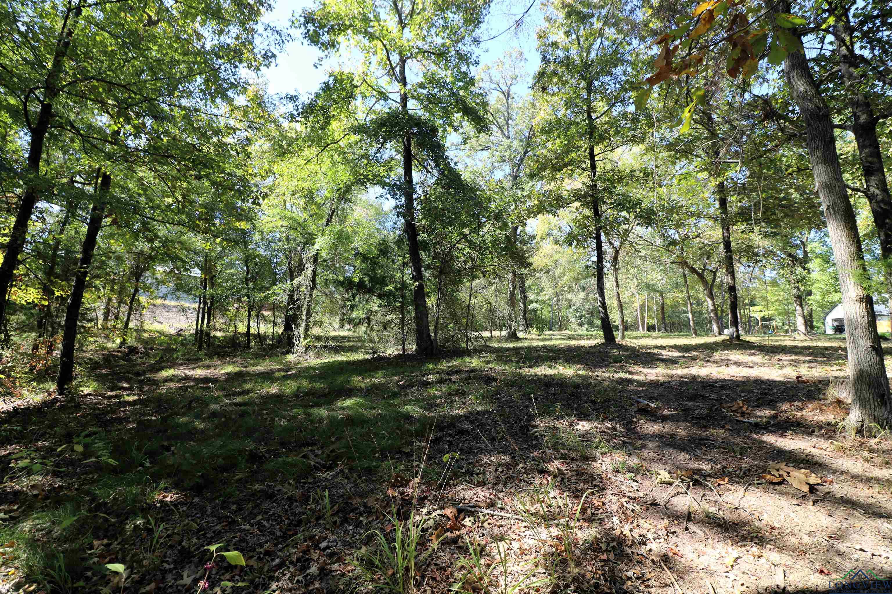 Lot 19 Block 3 John Dean Road, Gilmer, Texas image 9