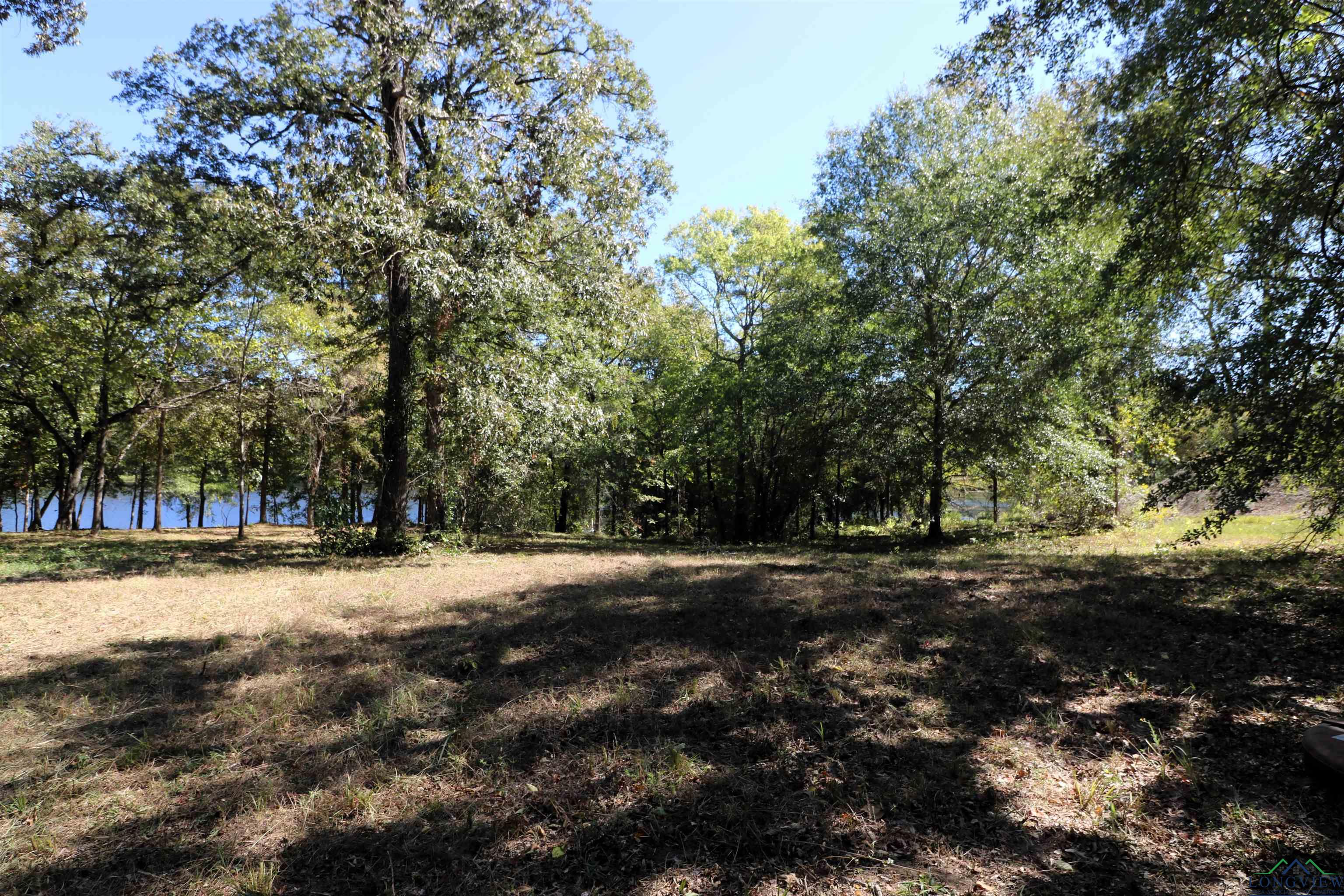 Lot 19 Block 3 John Dean Road, Gilmer, Texas image 8