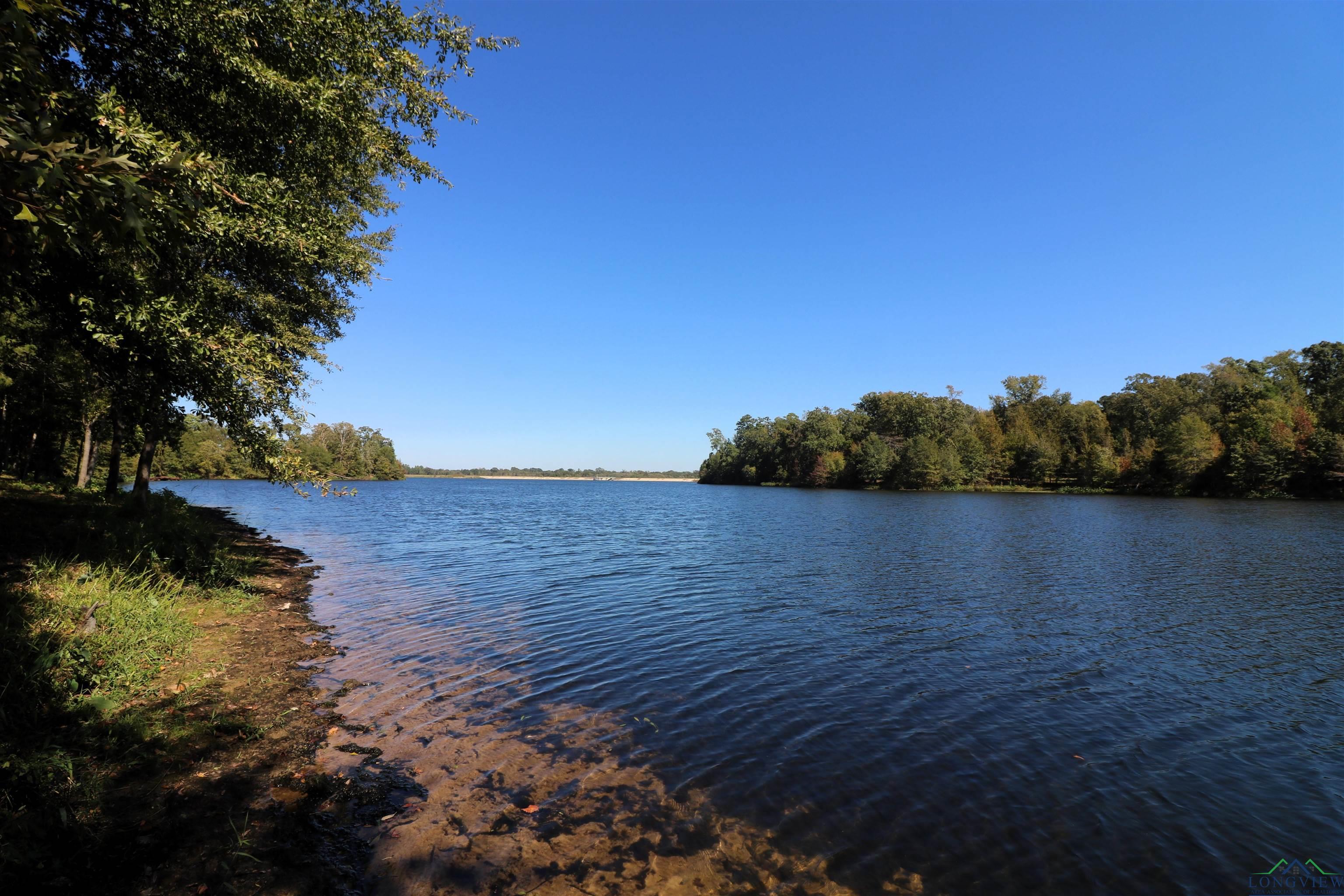 Lot 19 Block 3 John Dean Road, Gilmer, Texas image 3