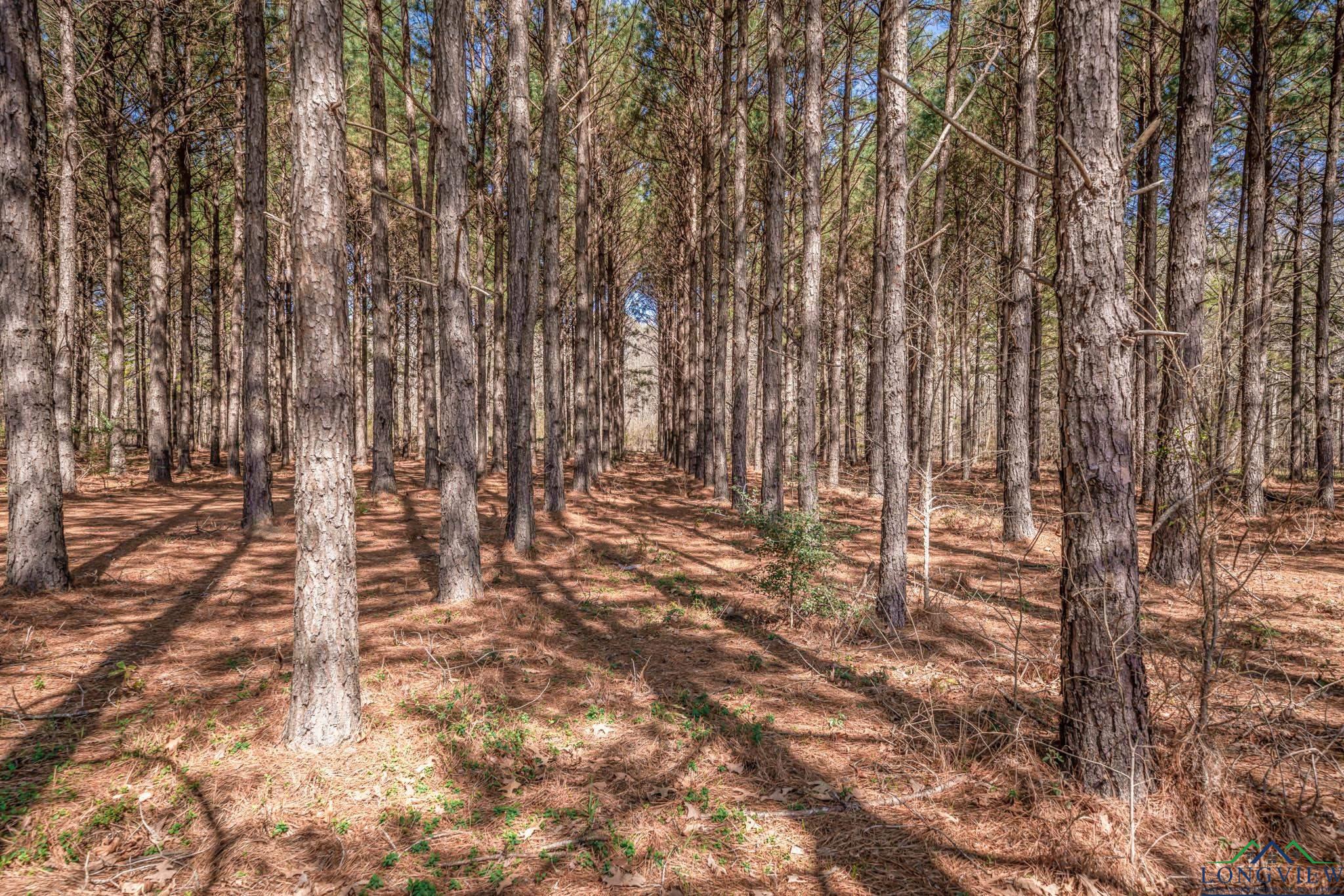 5430 E Cr 292, Kilgore, New Mexico image 45