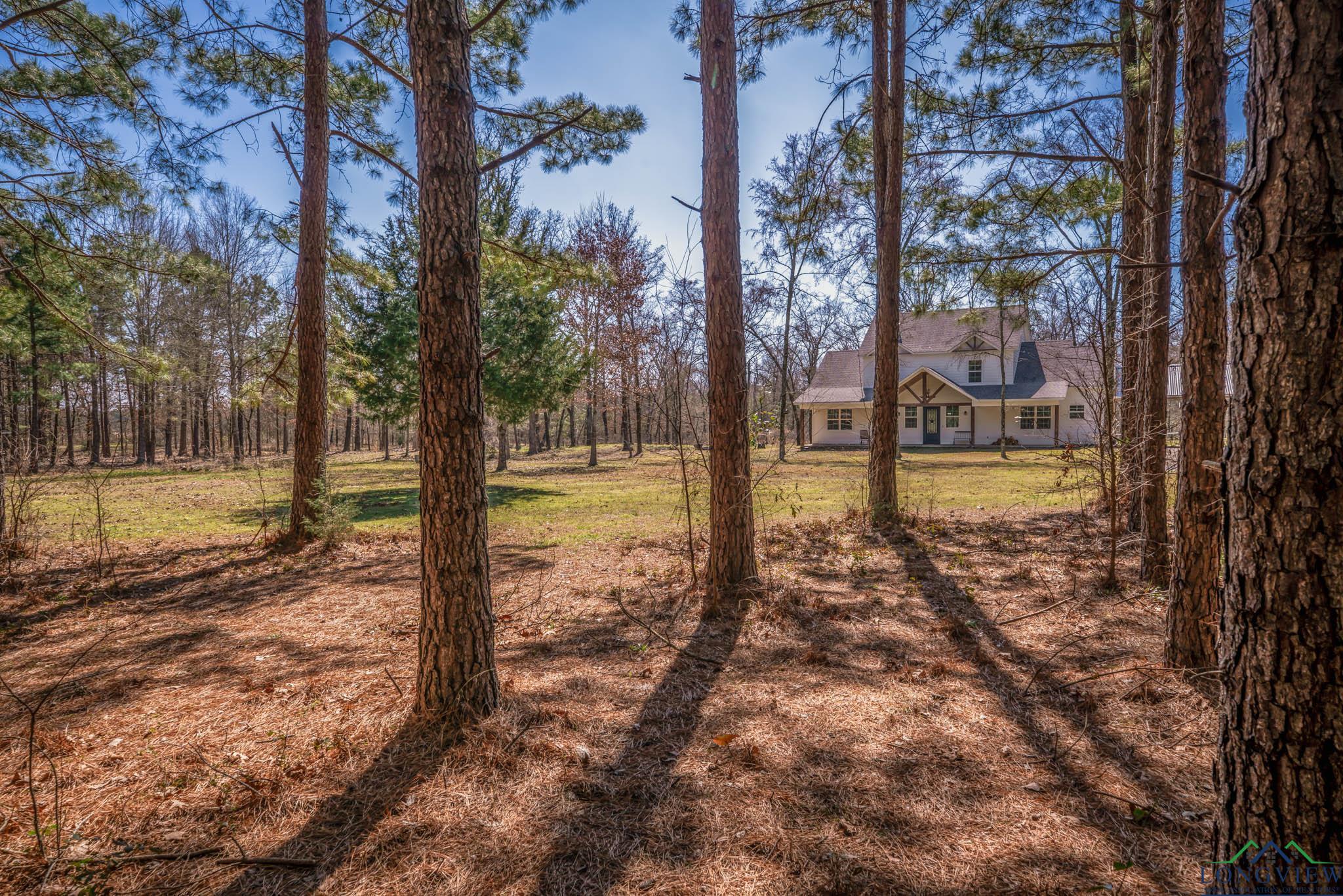 5430 E Cr 292, Kilgore, New Mexico image 47
