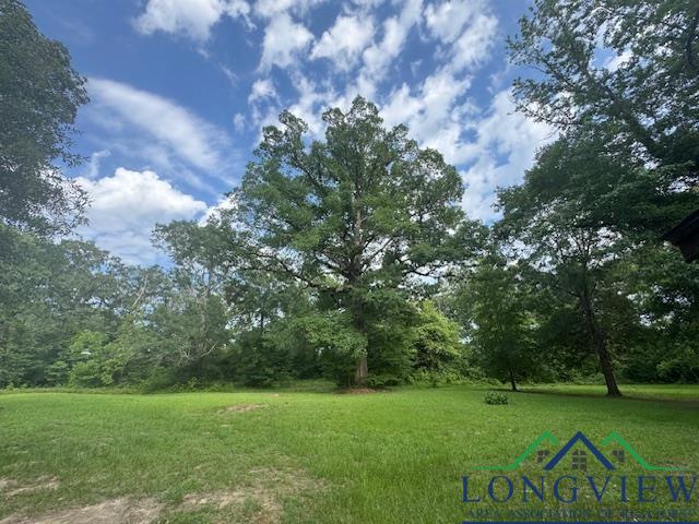 8517 N Fm 450, Hallsville, Texas image 17