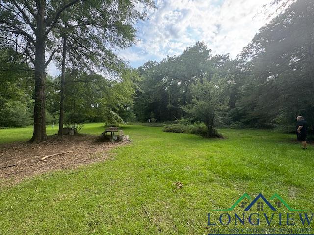 8517 N Fm 450, Hallsville, Texas image 11