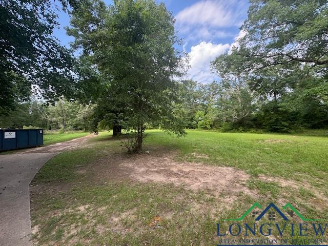 8517 N Fm 450, Hallsville, Texas image 18