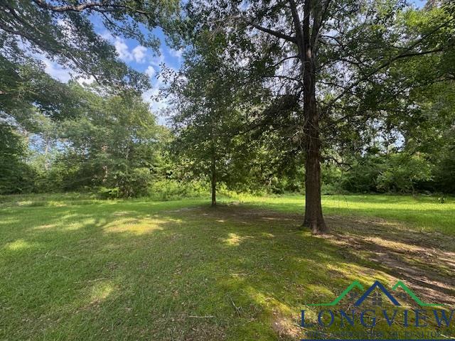 8517 N Fm 450, Hallsville, Texas image 7
