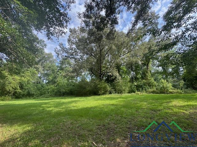 8517 N Fm 450, Hallsville, Texas image 6