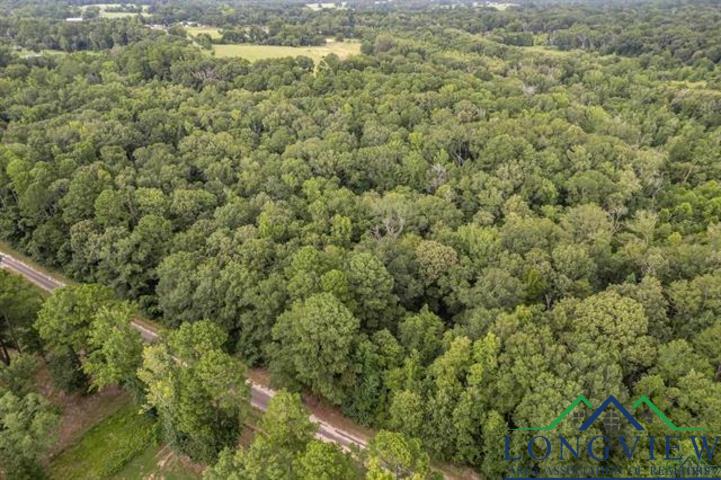 TBD Lot 2 Cr 2344, Tyler, Texas image 7