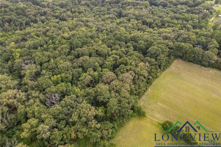 TBD Lot 2 Cr 2344, Tyler, Texas image 6