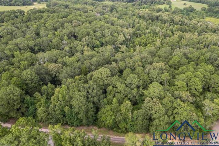 TBD Lot 2 Cr 2344, Tyler, Texas image 10